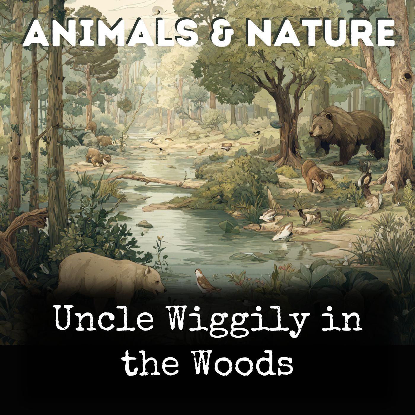 Uncle Wiggily in the Woods cover art