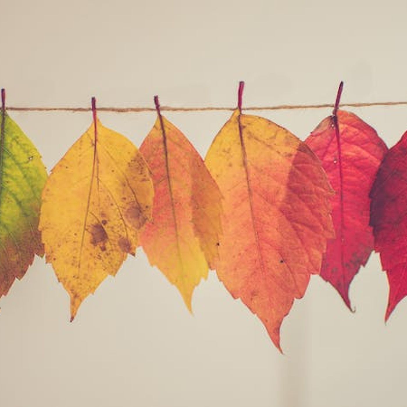 My Suffering Feels Meaningless — What Can I Do?