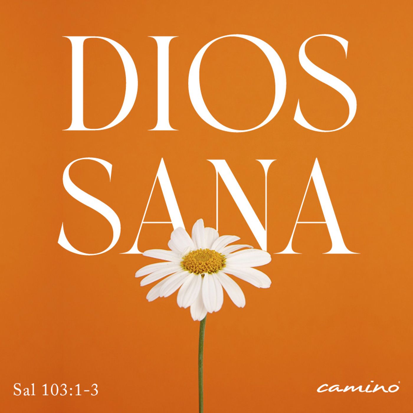 Oración 3 de diciembre (Dios Sana) episode artwork