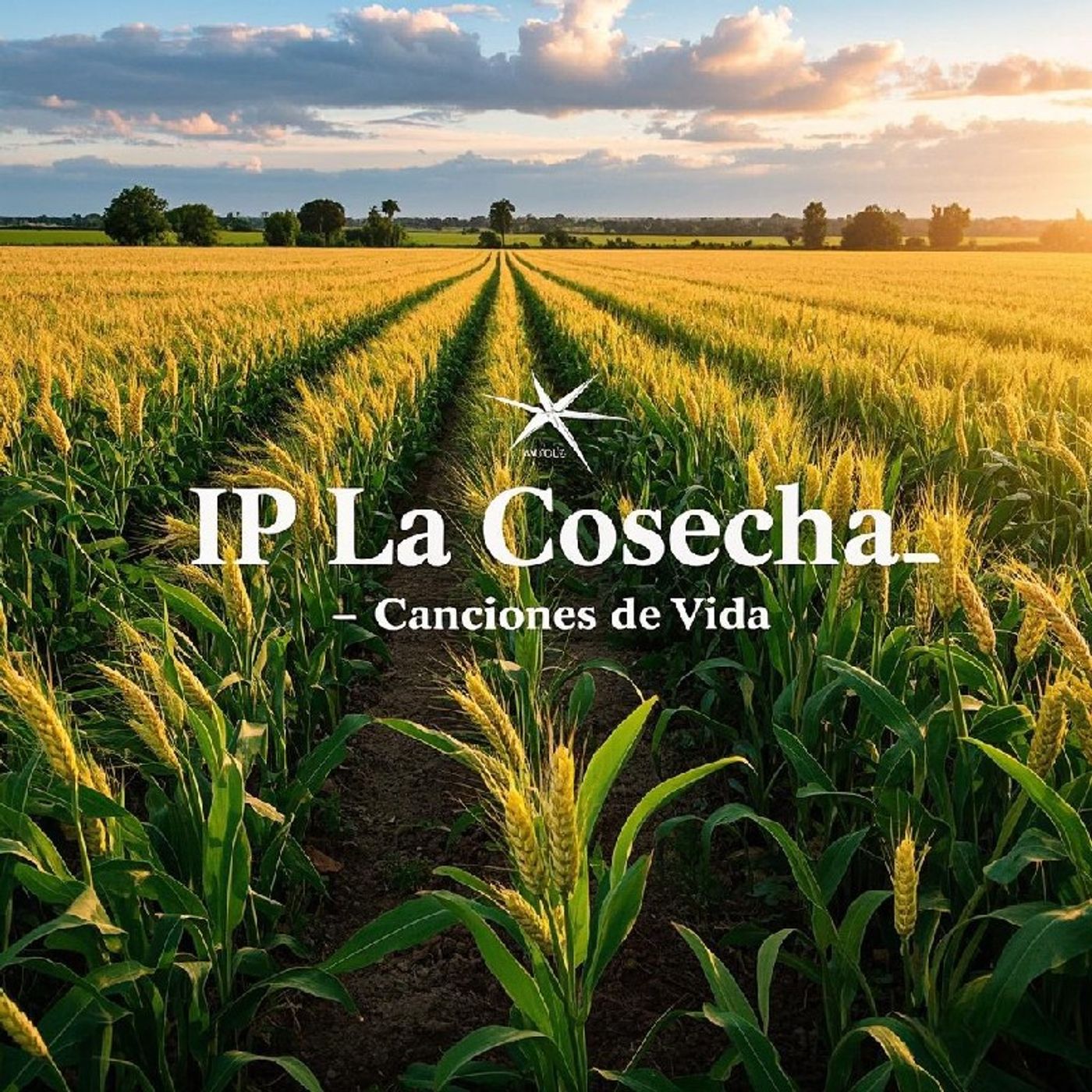 Iglesia Pentecostal La Cosecha