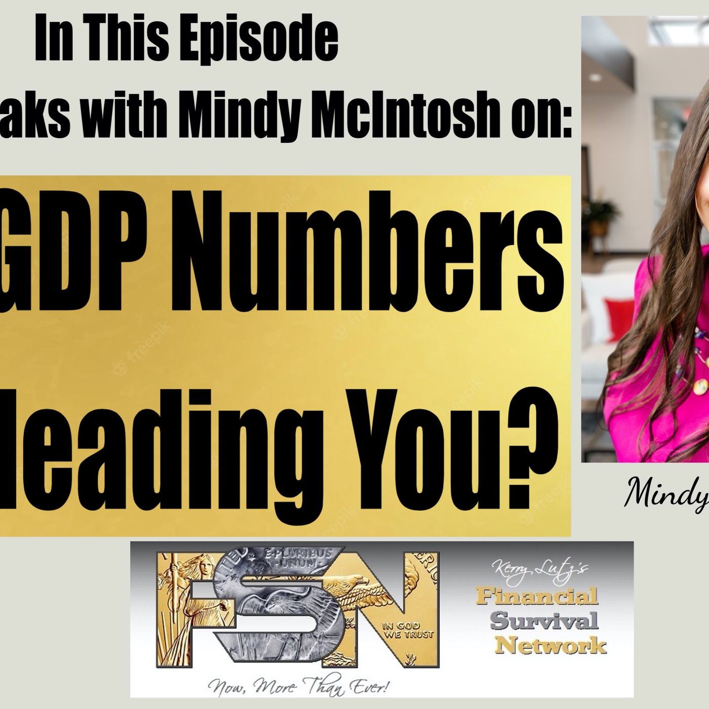 cover of episode Are GDP Numbers Misleading You? - Mindy McIntosh #6157