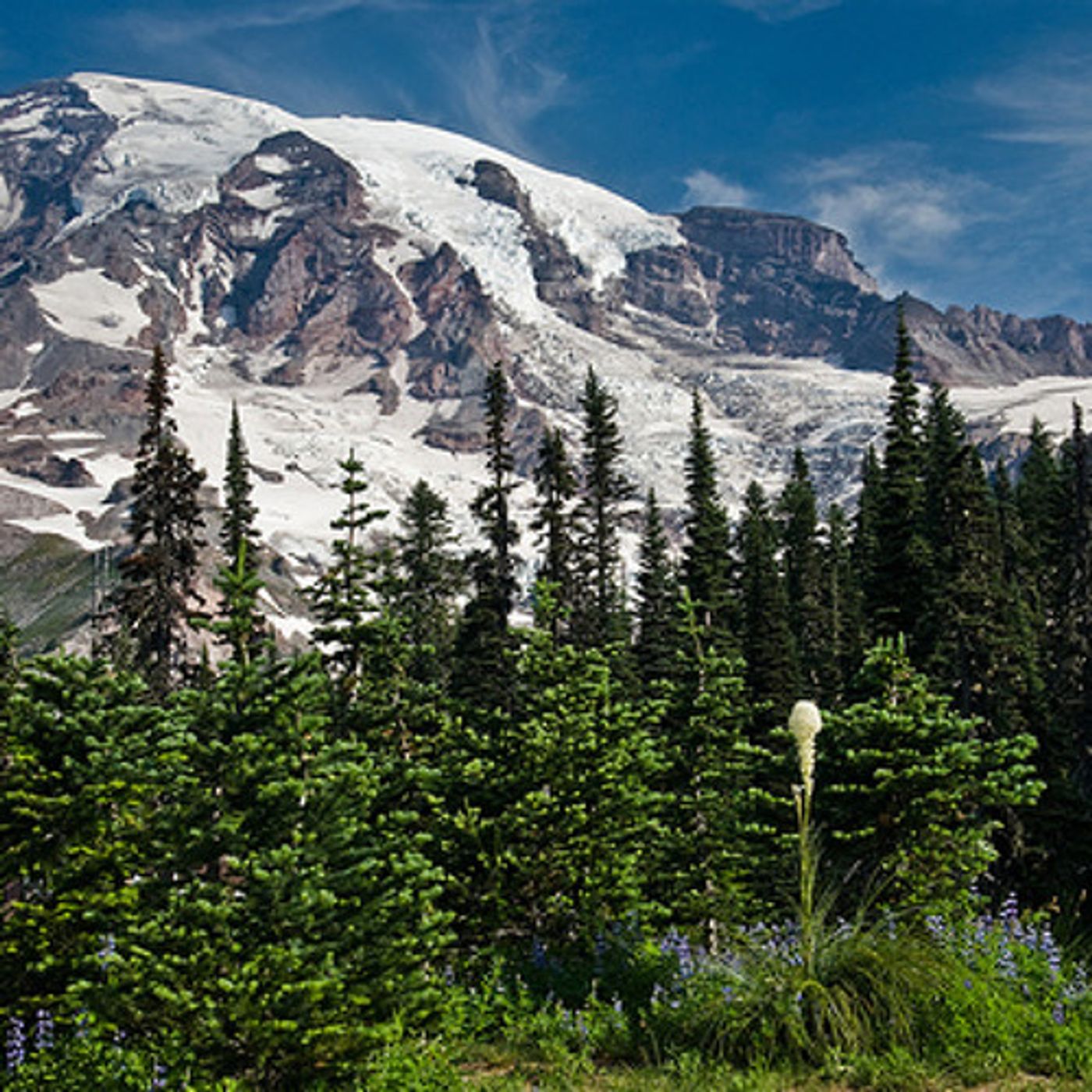 Proposal Puts National Security Ahead of Environmental Protection episode artwork