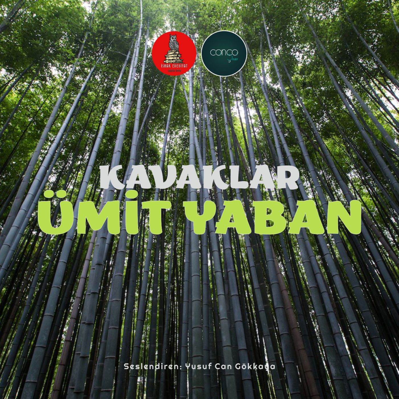 Öykü | Ümit Yaban - Kavaklar episode artwork