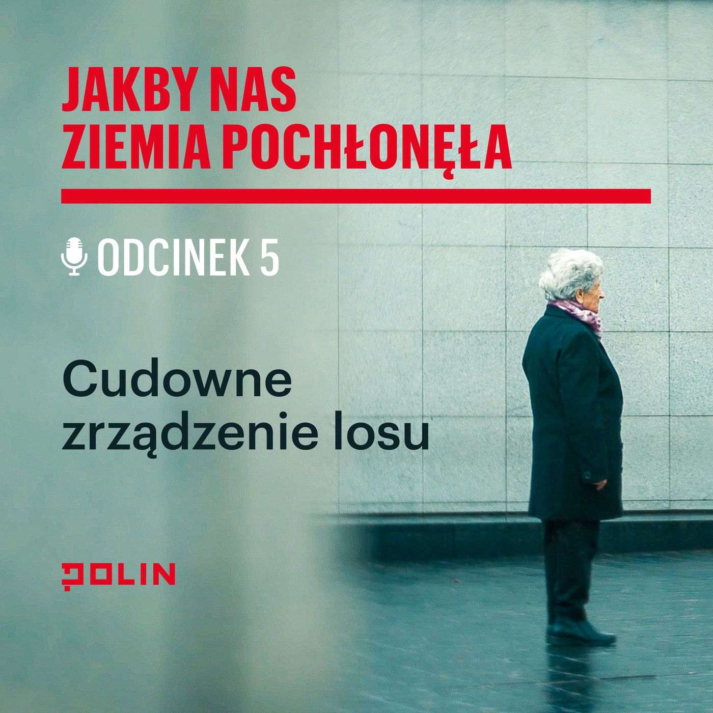 Odc. 5. Cudowne zrządzenie losu - Jakby nas ziemia pochłonęła. Katarzyna Kobylarczyk x Muzeum POLIN