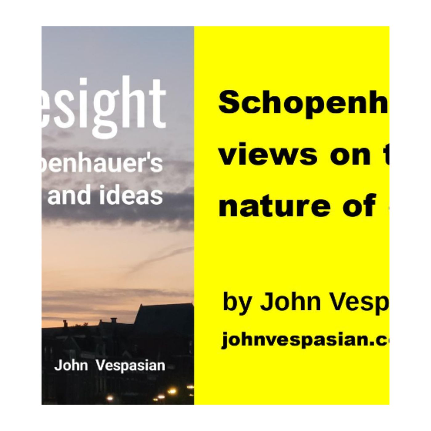 Schopenhauer’s views on the nature of evil episode artwork