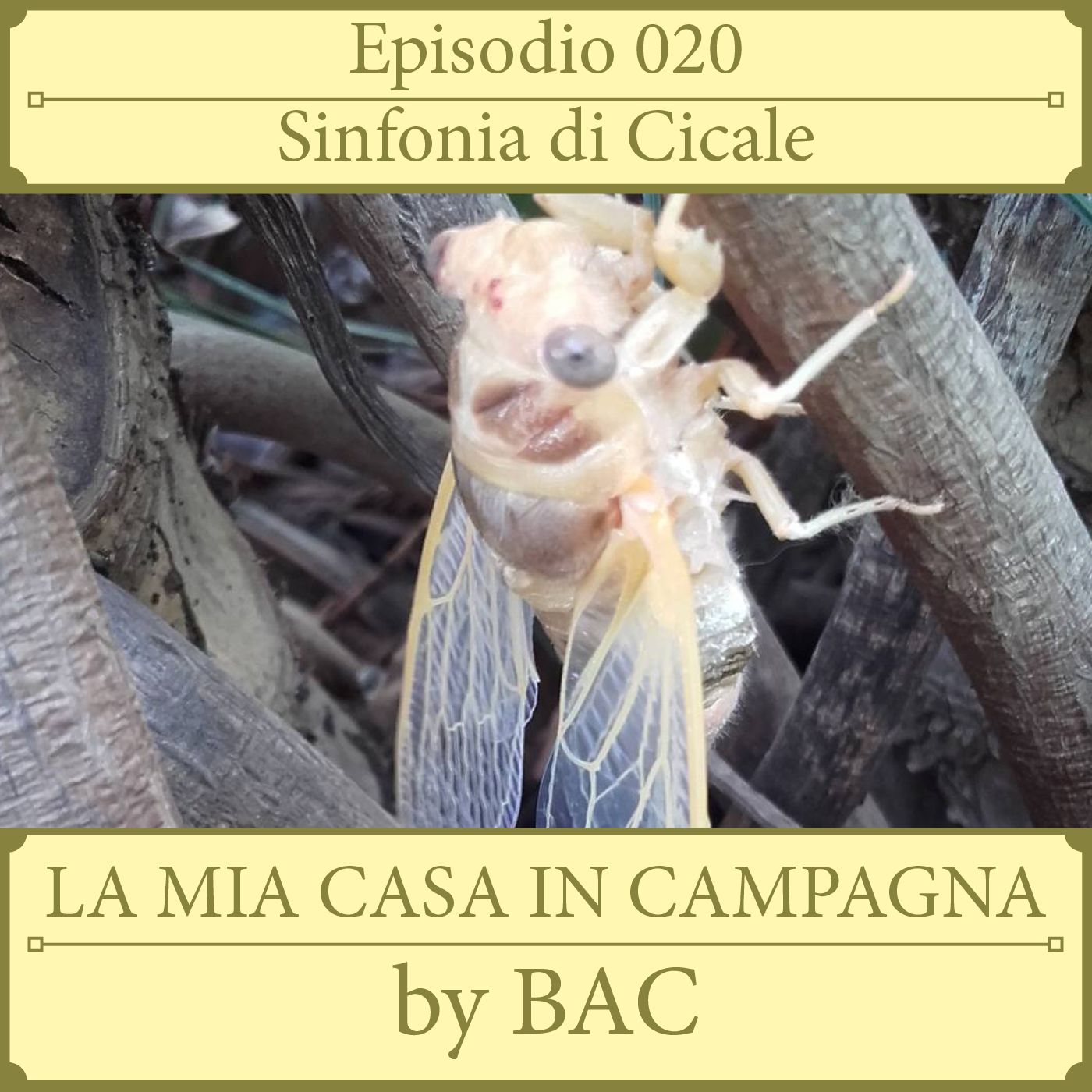 La Mia Casa In Campagna