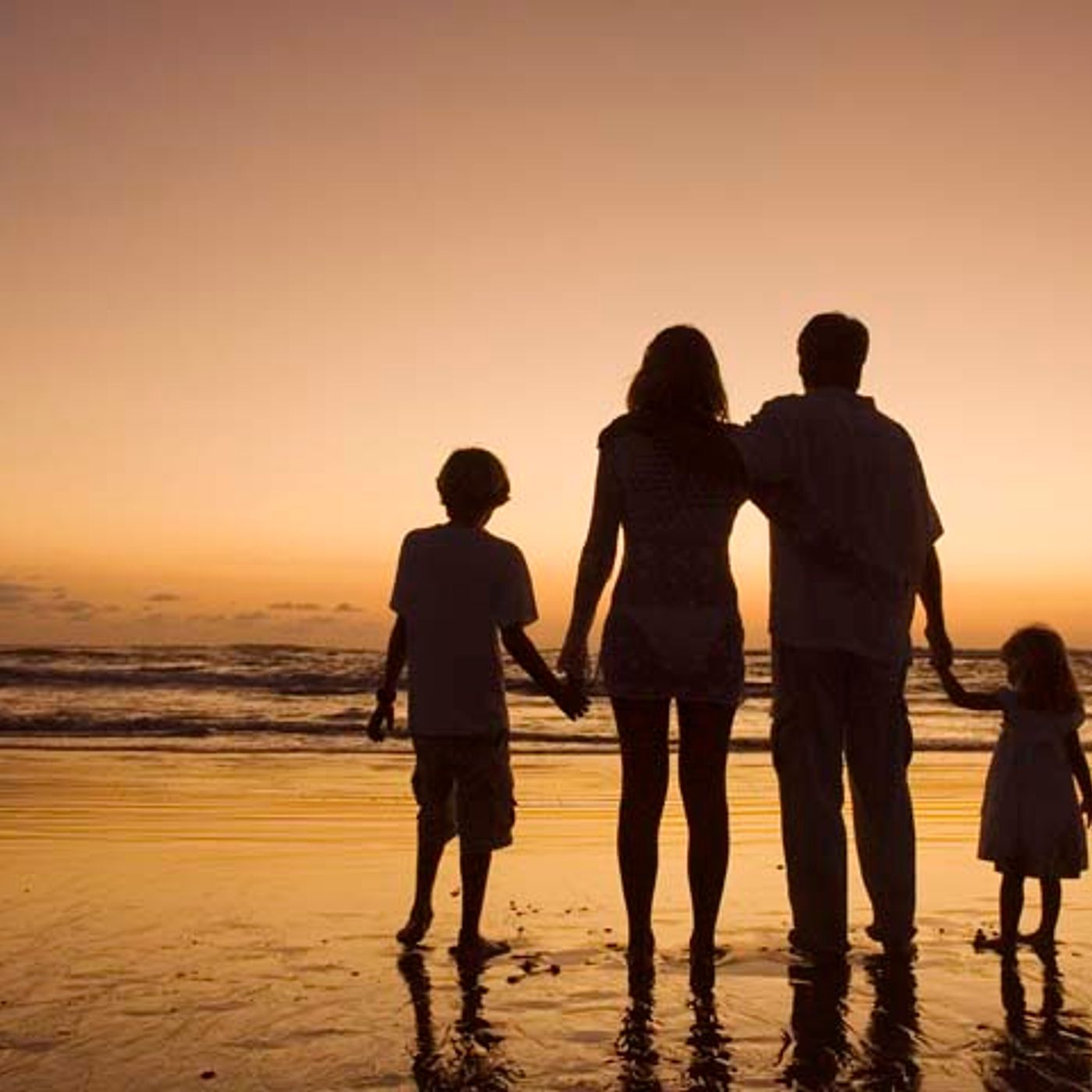 FAMILIAS VULNERABLES