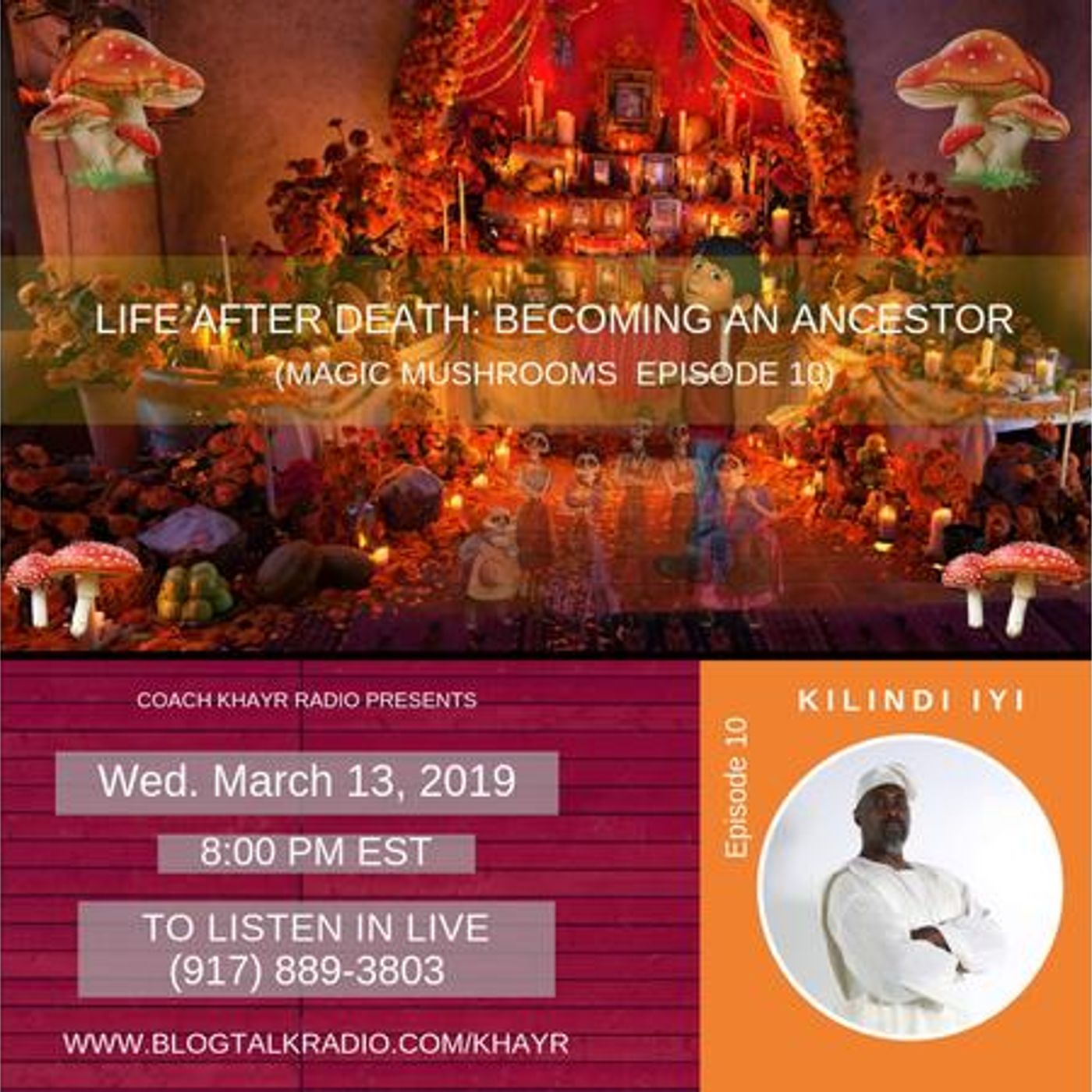 Stars, F.R.O.G.s and Mushrooms