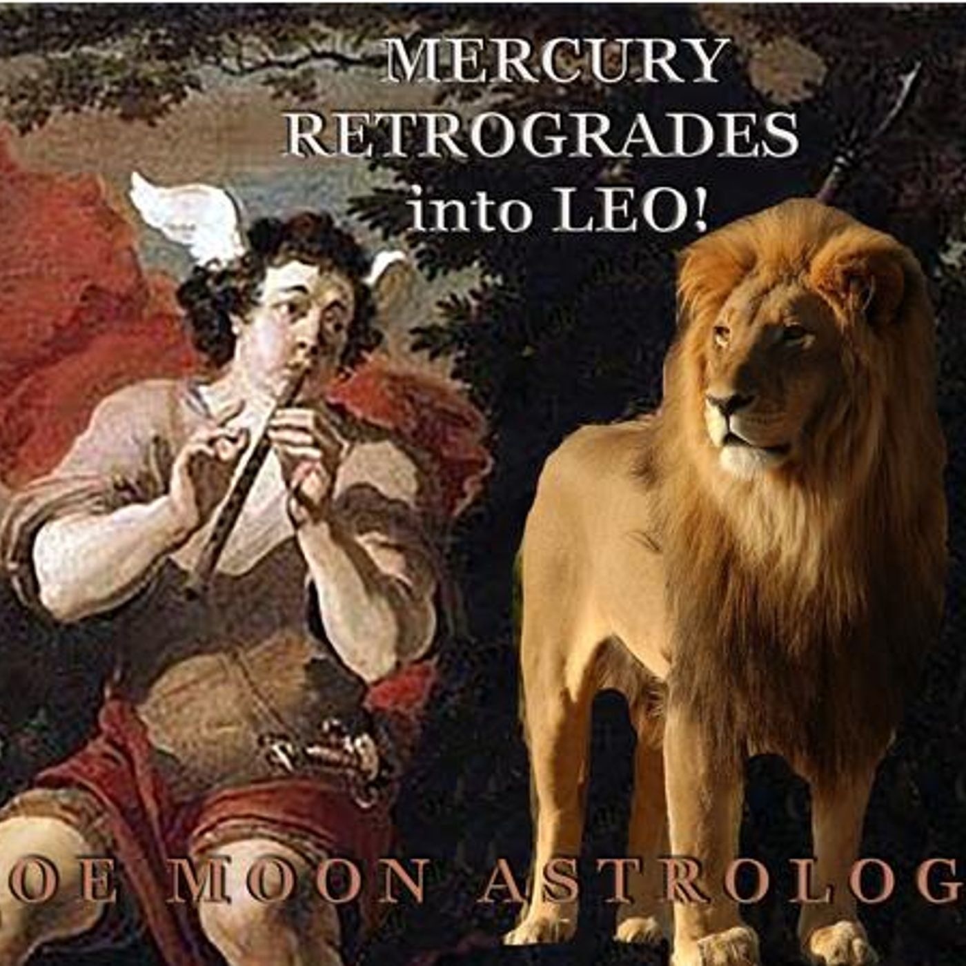 The Zoe Moon Astrology MERCURY RETROGRADE in LEO Show episode artwork