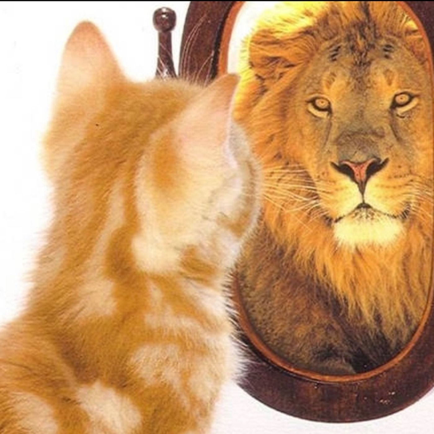 Legionarivs Mindset-USQUE AD FINEM