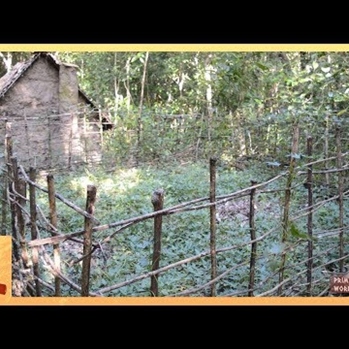 Primitive Technology: Sweet potato patch episode artwork