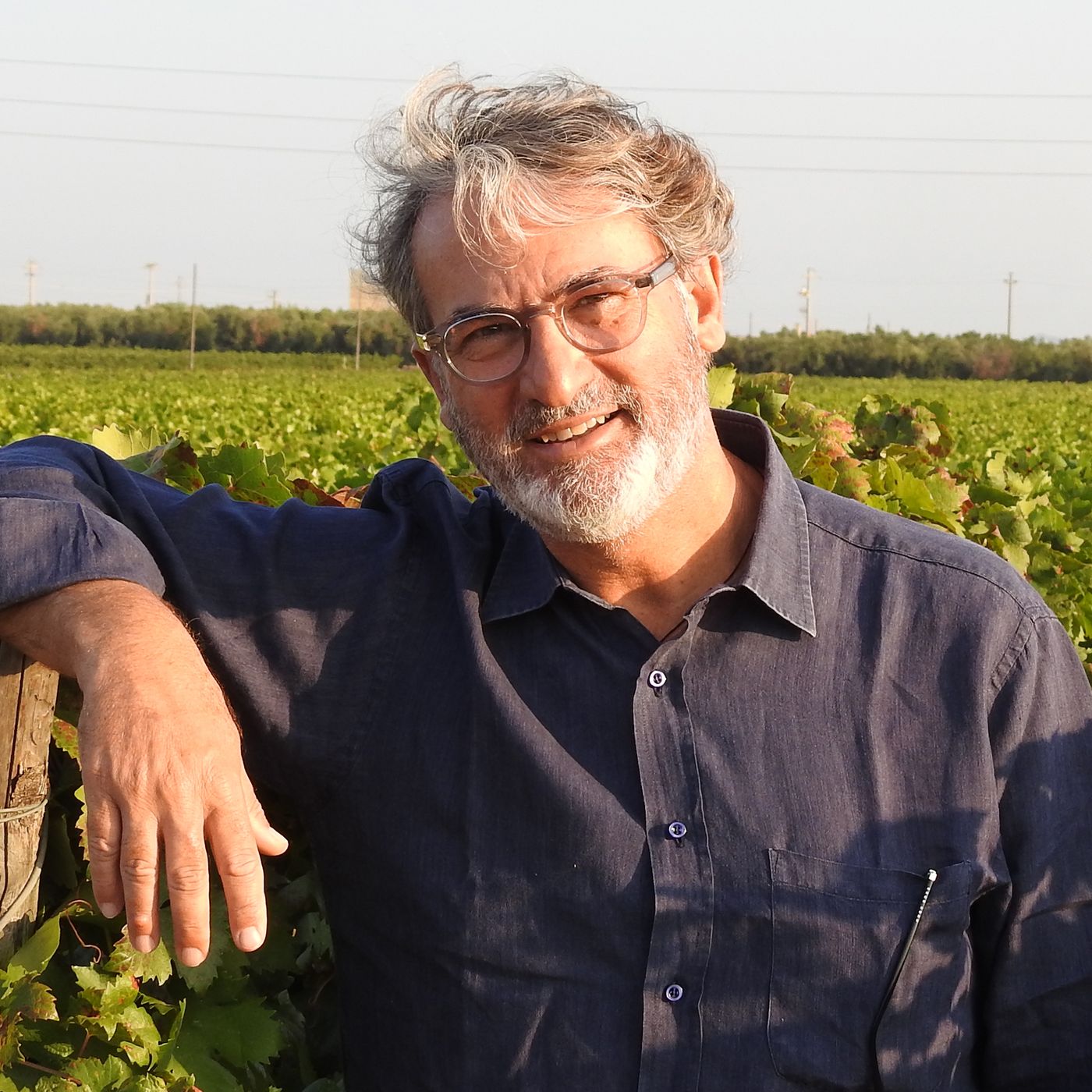 Maestri del vino italiano