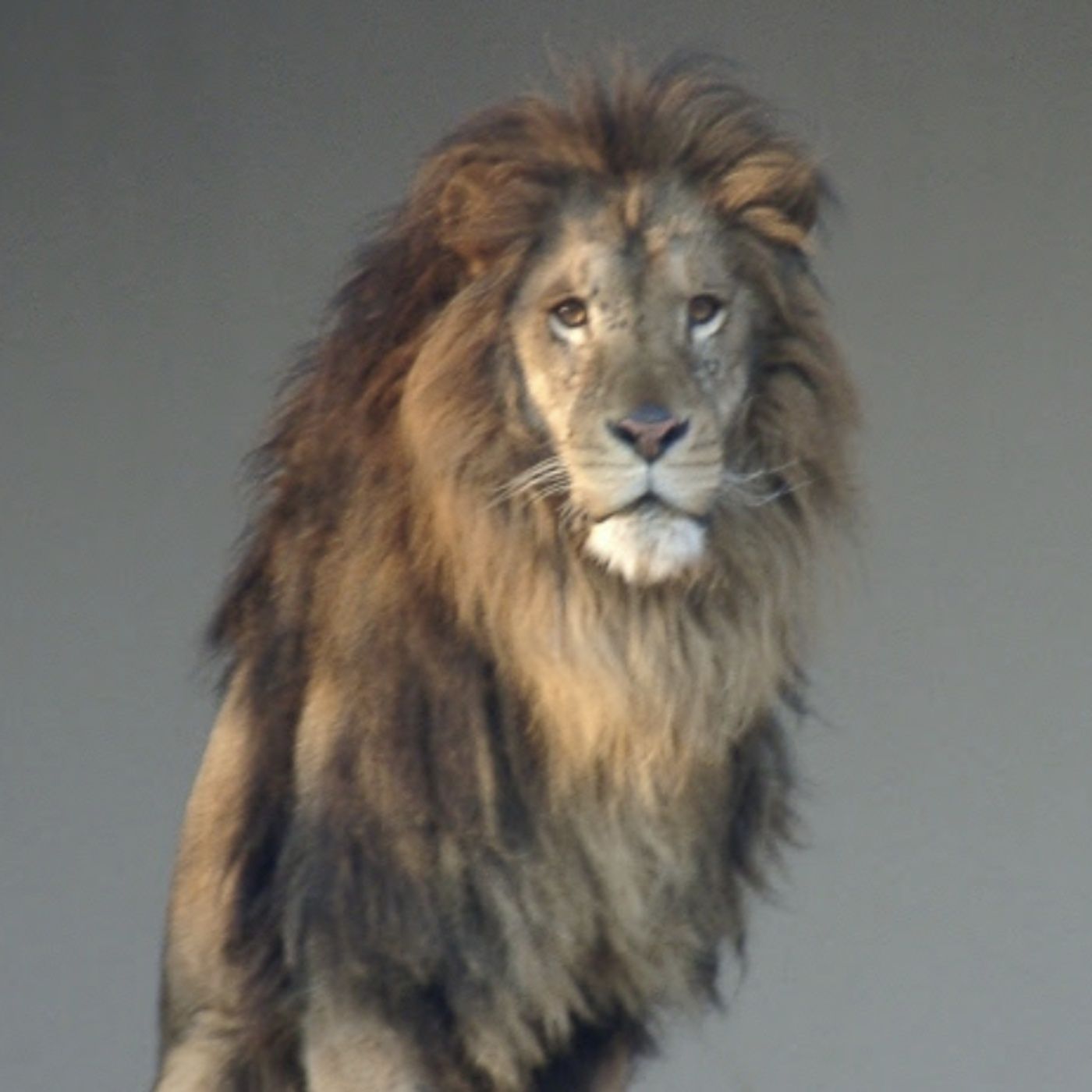 Kaidankai: Ghost, Supernatural, and Dark Short Fiction