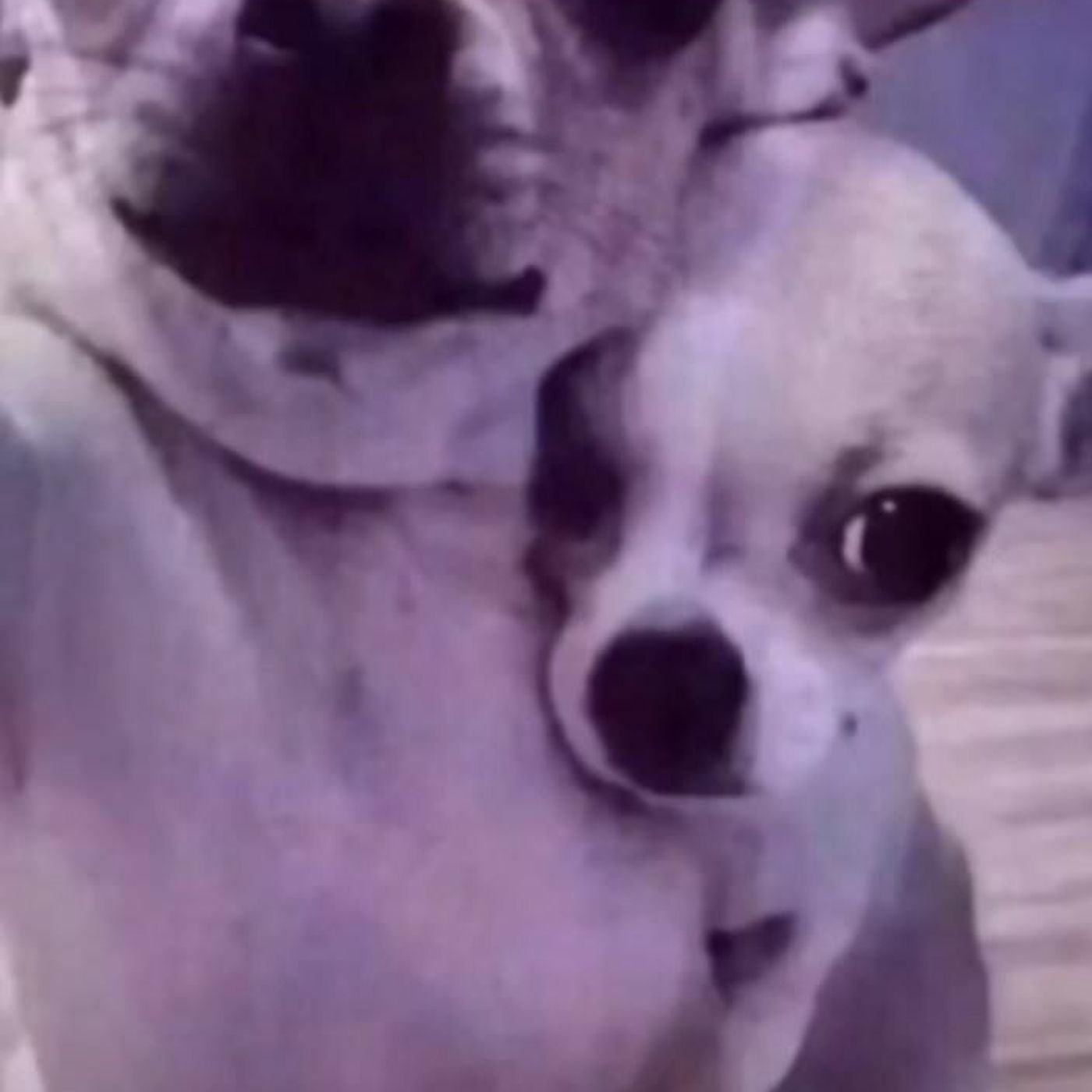 EFECTO DOBLER EN EL LABORATORIO