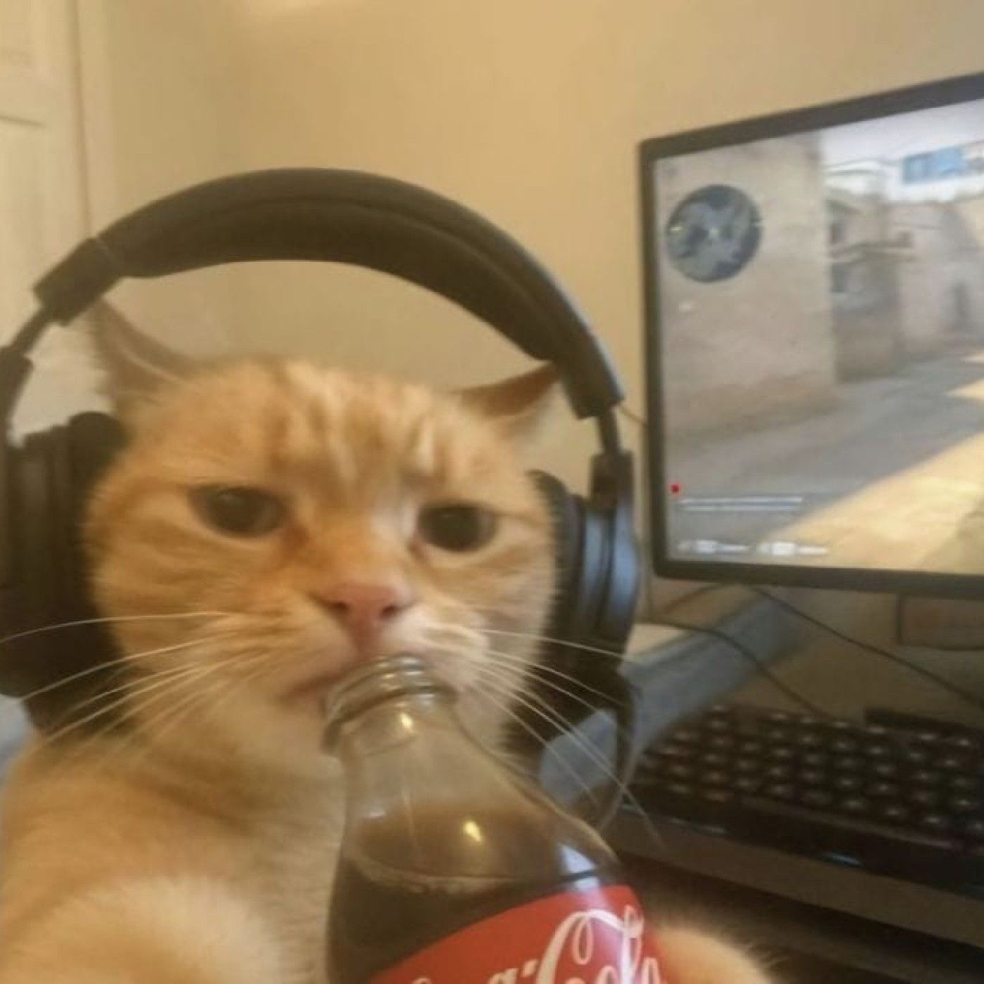 El podcast de Rodrigo Catriel Babenco