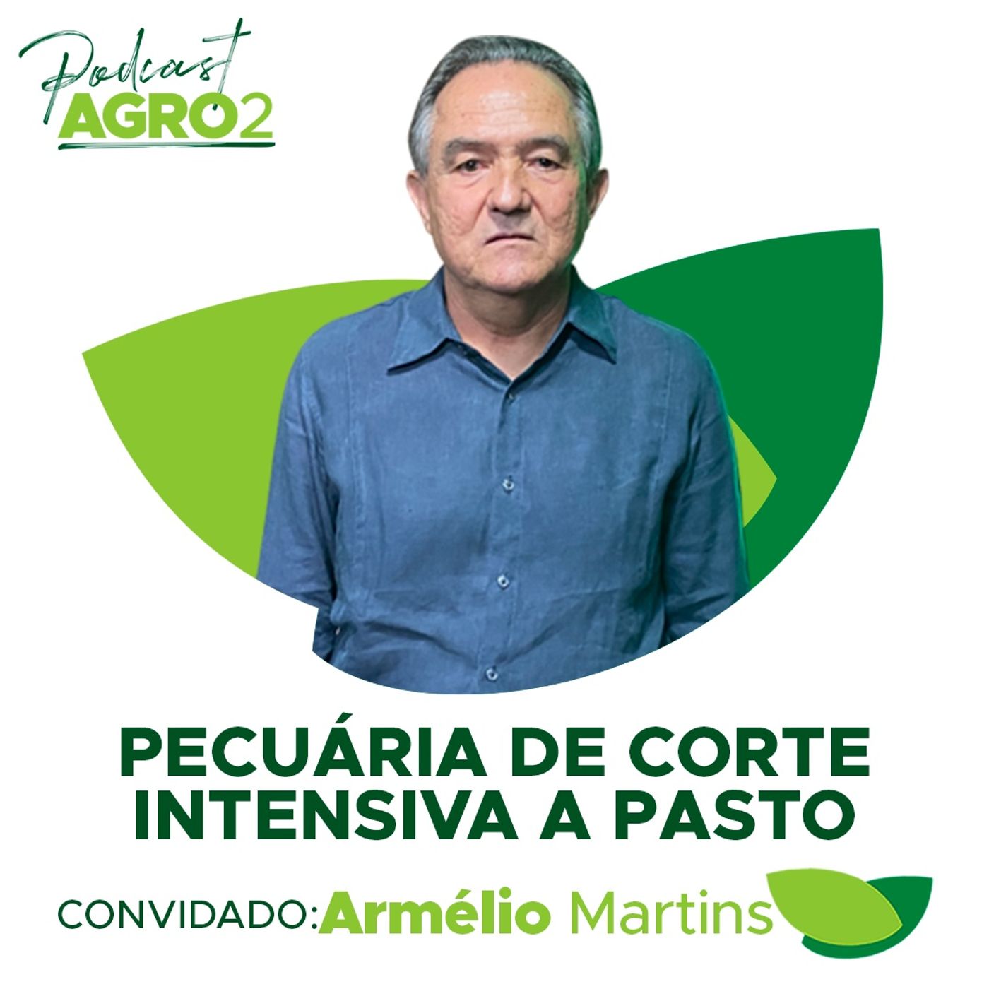 Método de pecuária intensiva a pasto melhora em 6 vezes o ganho de peso de bovinos de corte #222 episode artwork