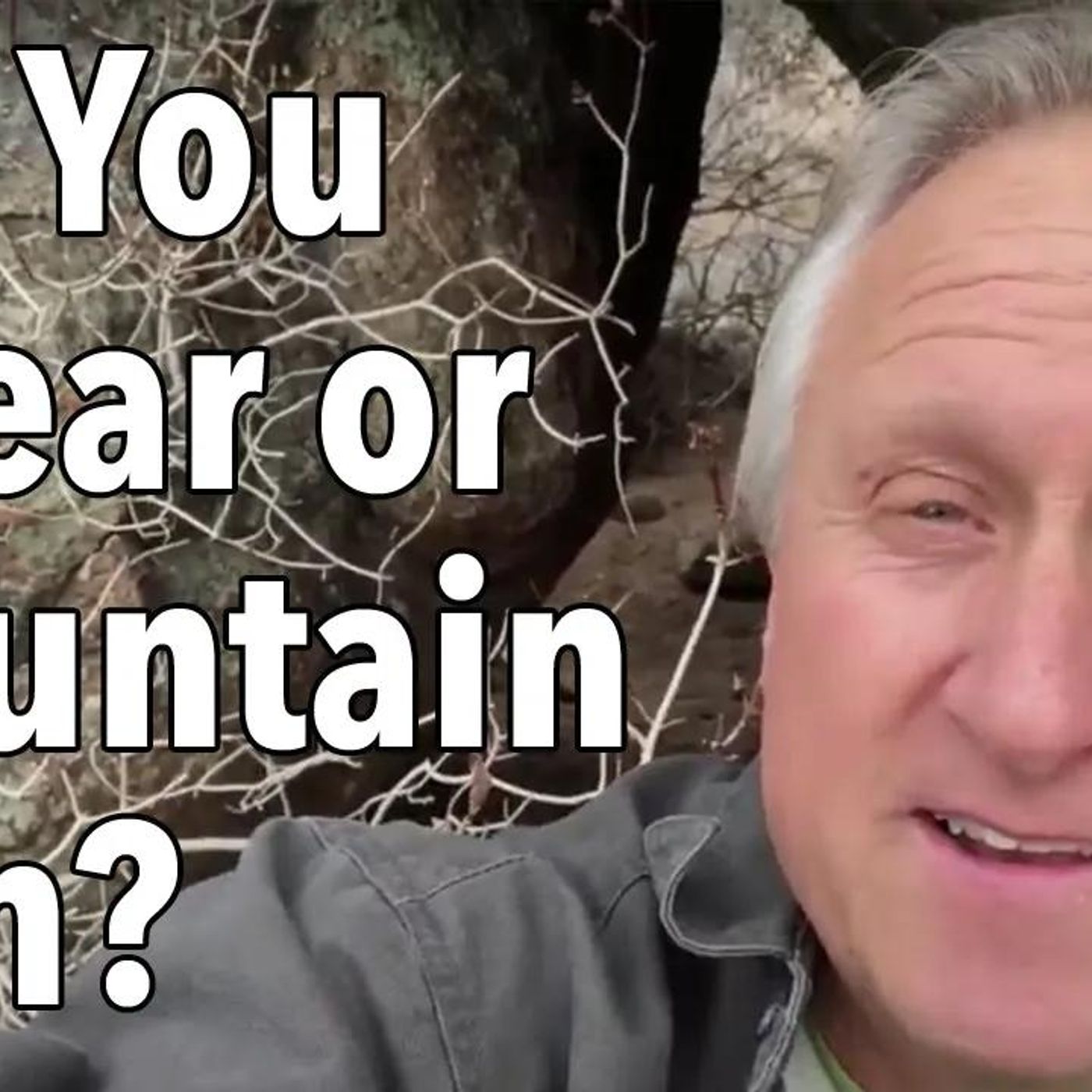 Are You a Pandemic Bear or Mountain Lion?