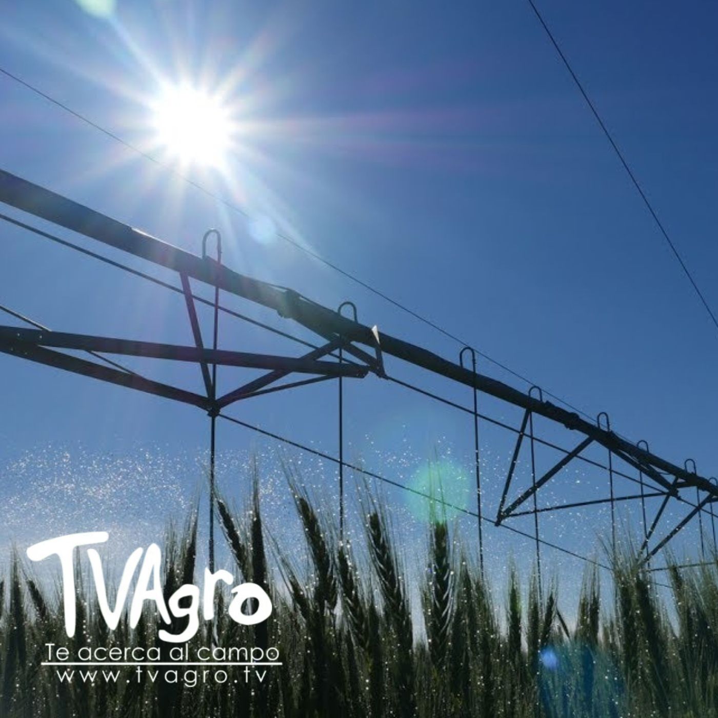 TV AGRO