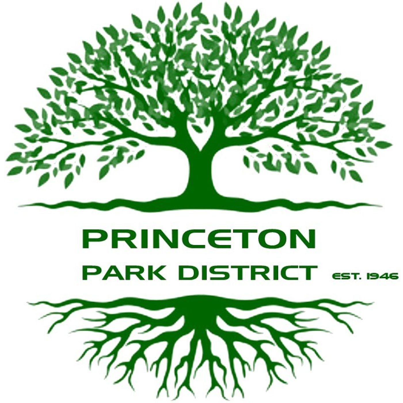 Construction nearing completion on park shelter project in Princeton episode artwork