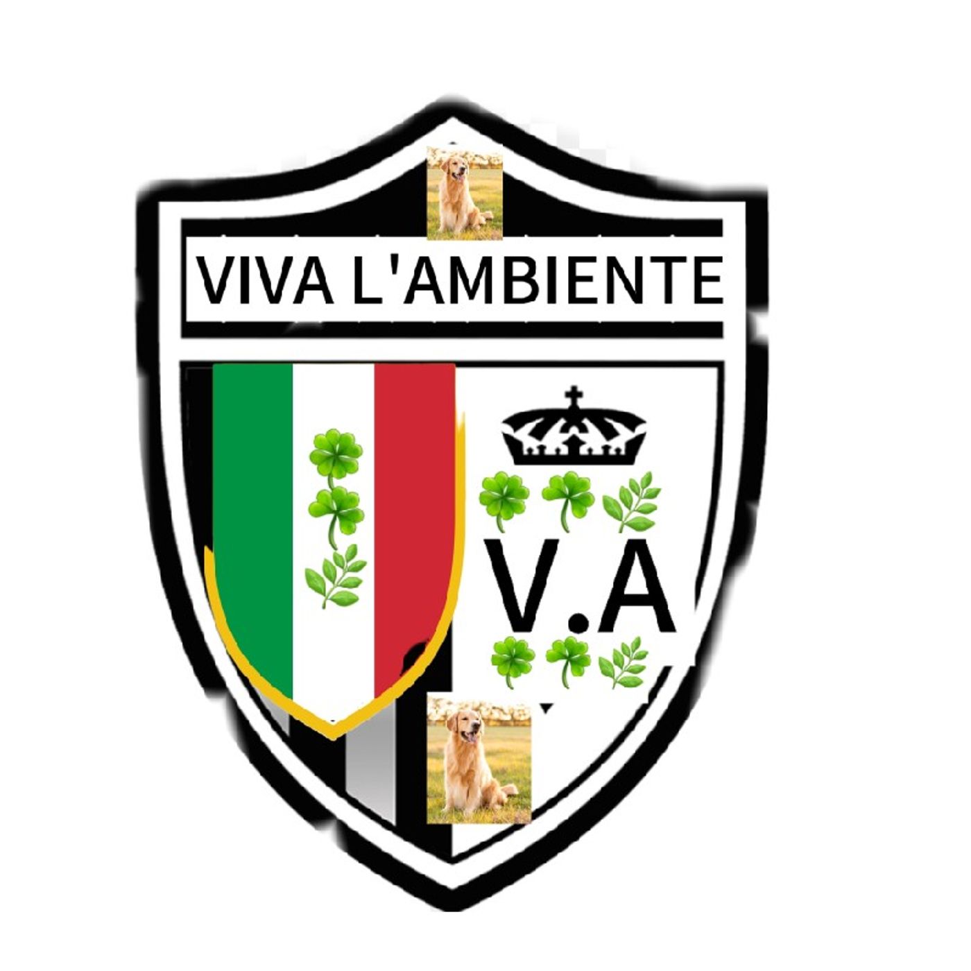 Episodio 7 - L'intervista della viva l'ambiente episode artwork
