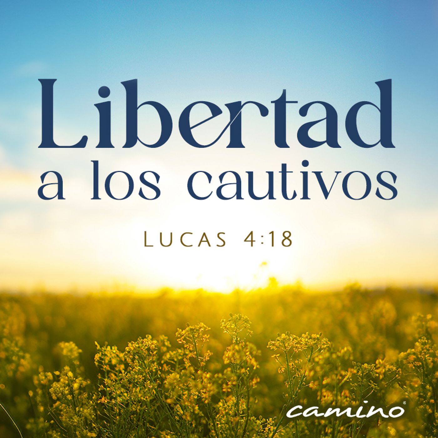 Oración 23 de agosto (Libertad a los cautivos) episode artwork