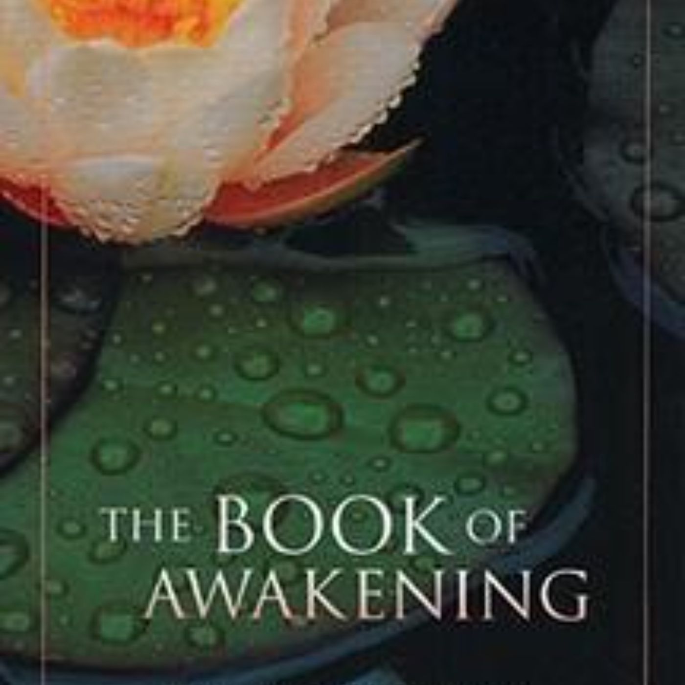 Awakening to Life: Insights and Reflections from Mark Nepo's Journey in 'The Book of Awakening'