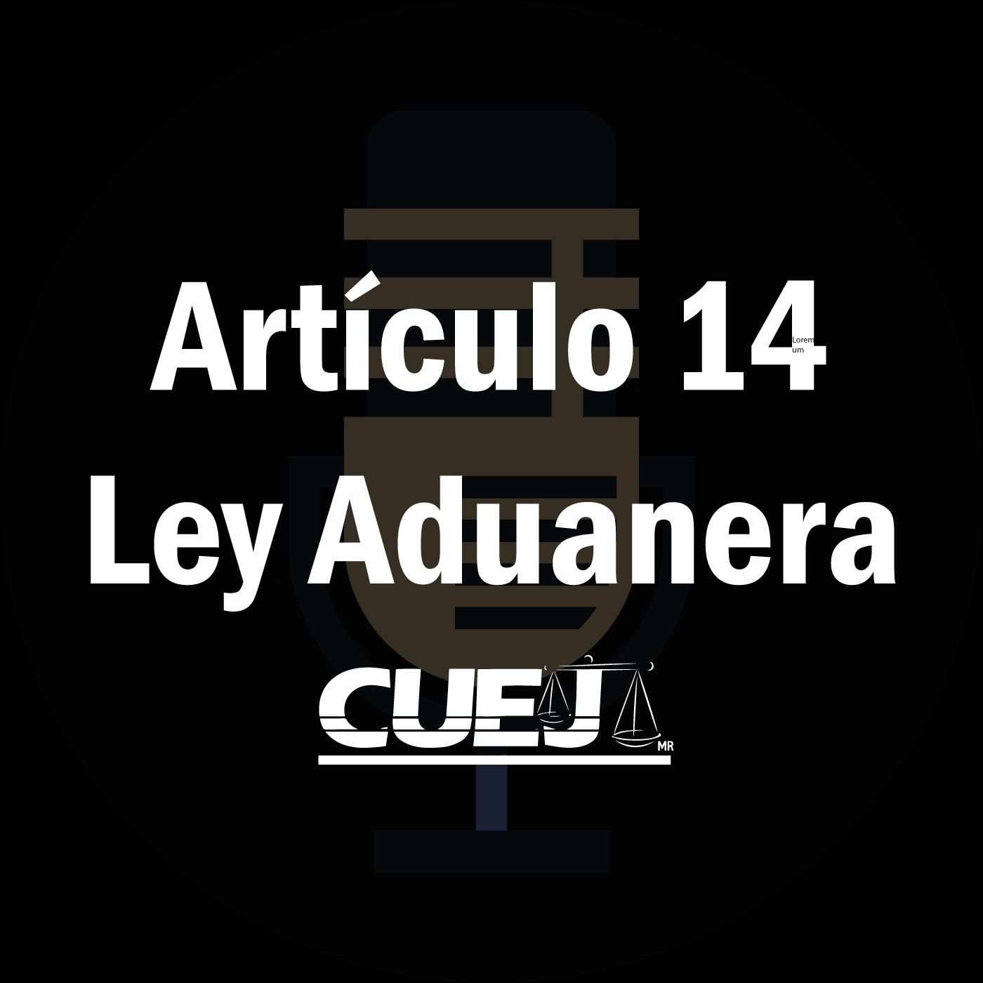 Audio Ley Aduanera
