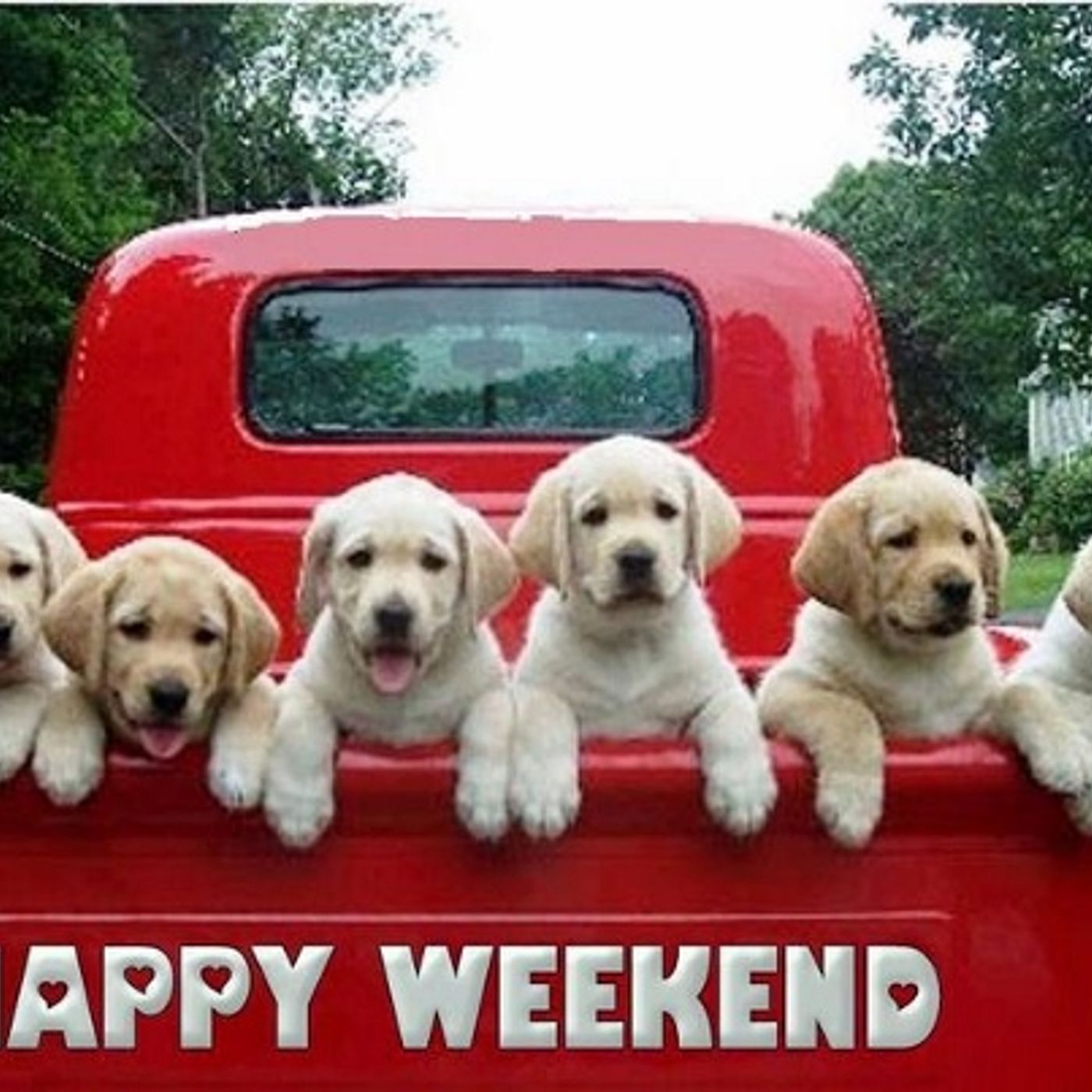 What are you going to do next weekend? 3C