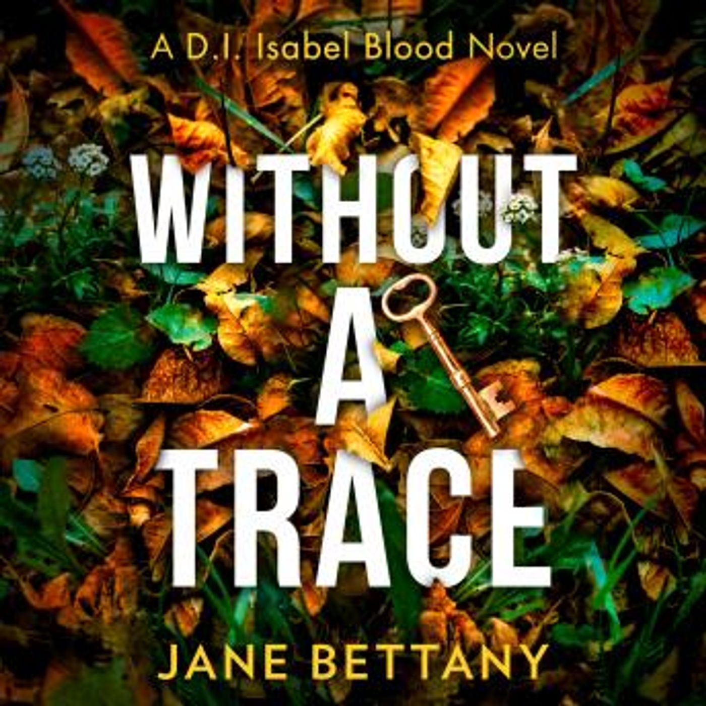 Download High-Quality Full Audiobooks in Mystery, Thriller & Horror, Police & Detective