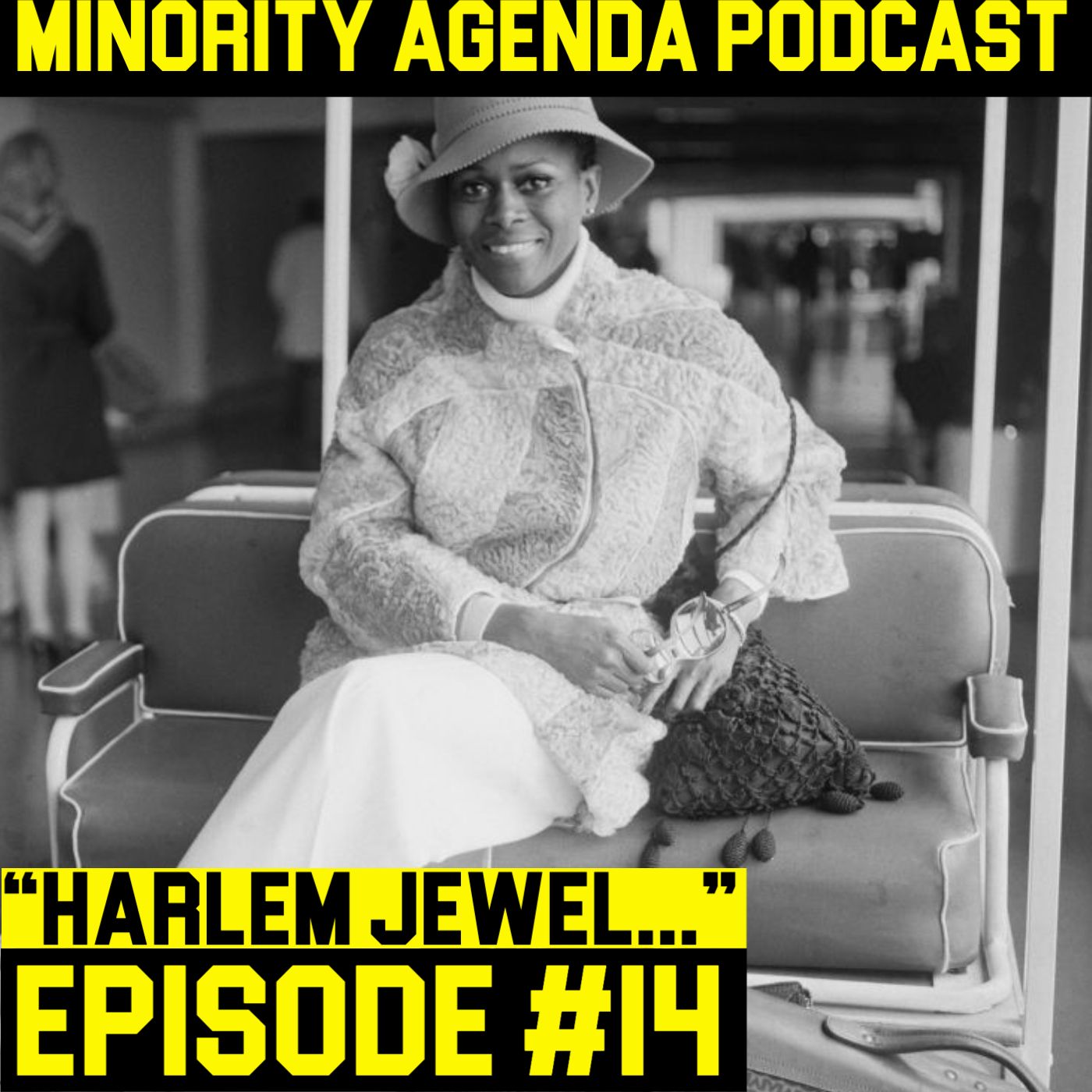 Minority Agenda Podcast
