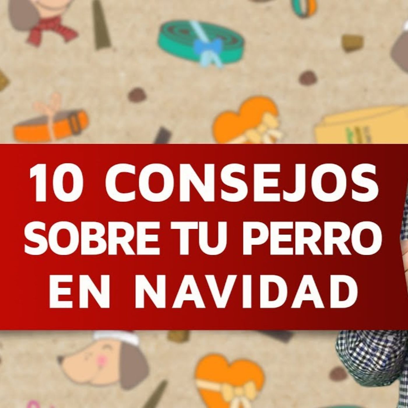 Conrado Animalero