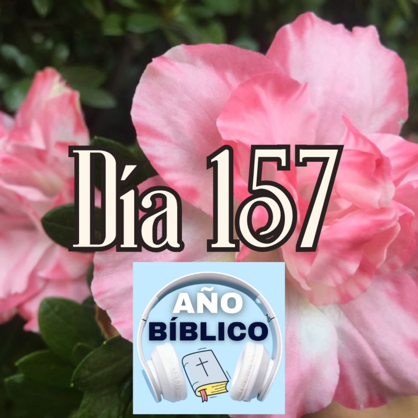Día 157 - Salmos 69:9-15, 1 Reyes 17-18 y Hechos 22:24-30 episode artwork