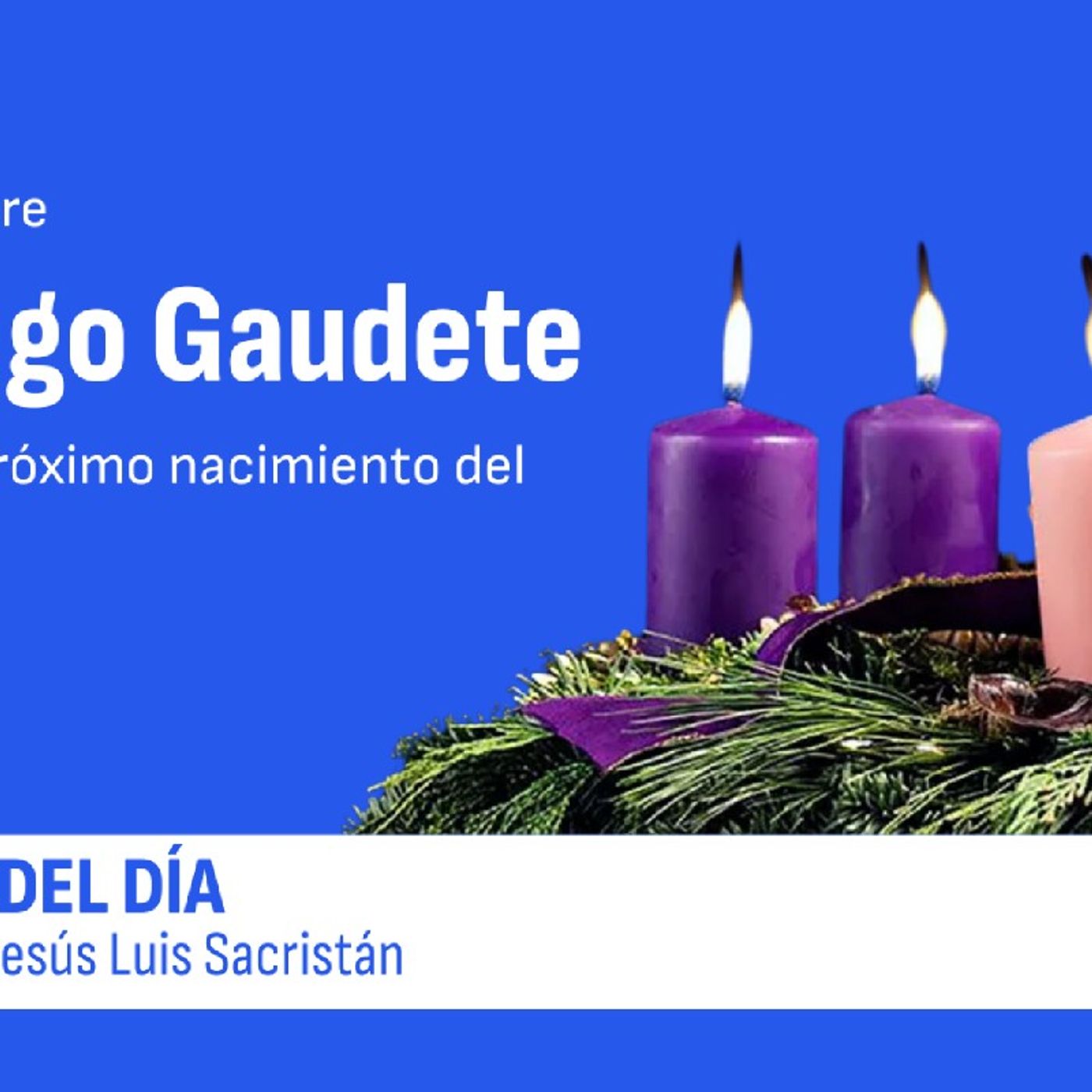 Meditaciones Y Homilías