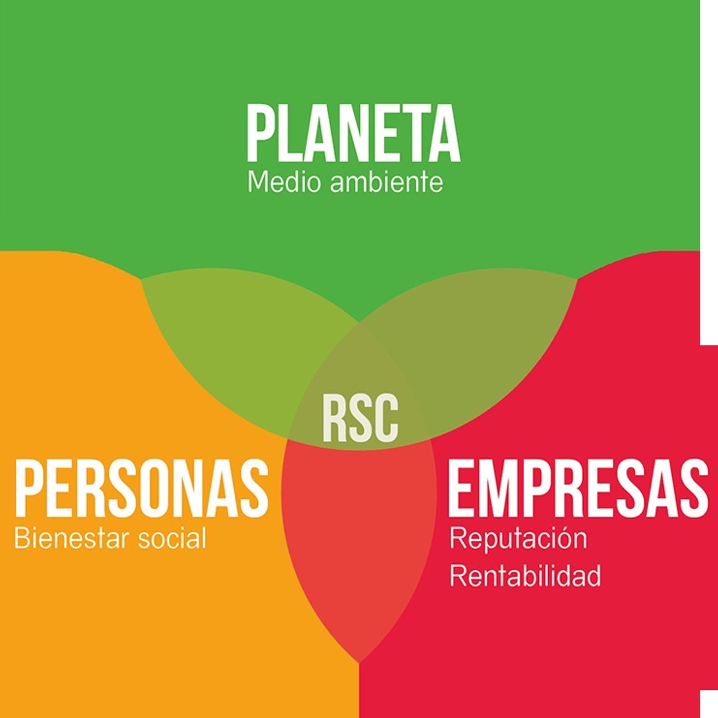 Cibercropolis, La RSC