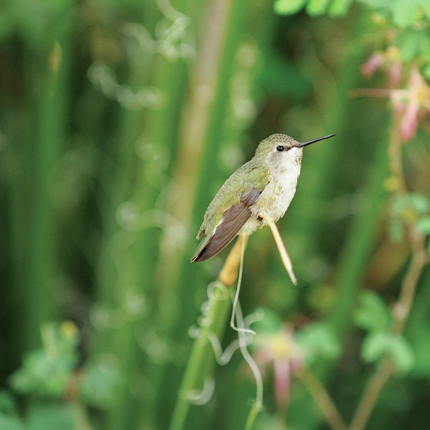 Ponga su mano en el arado Ponga su mano en el arado