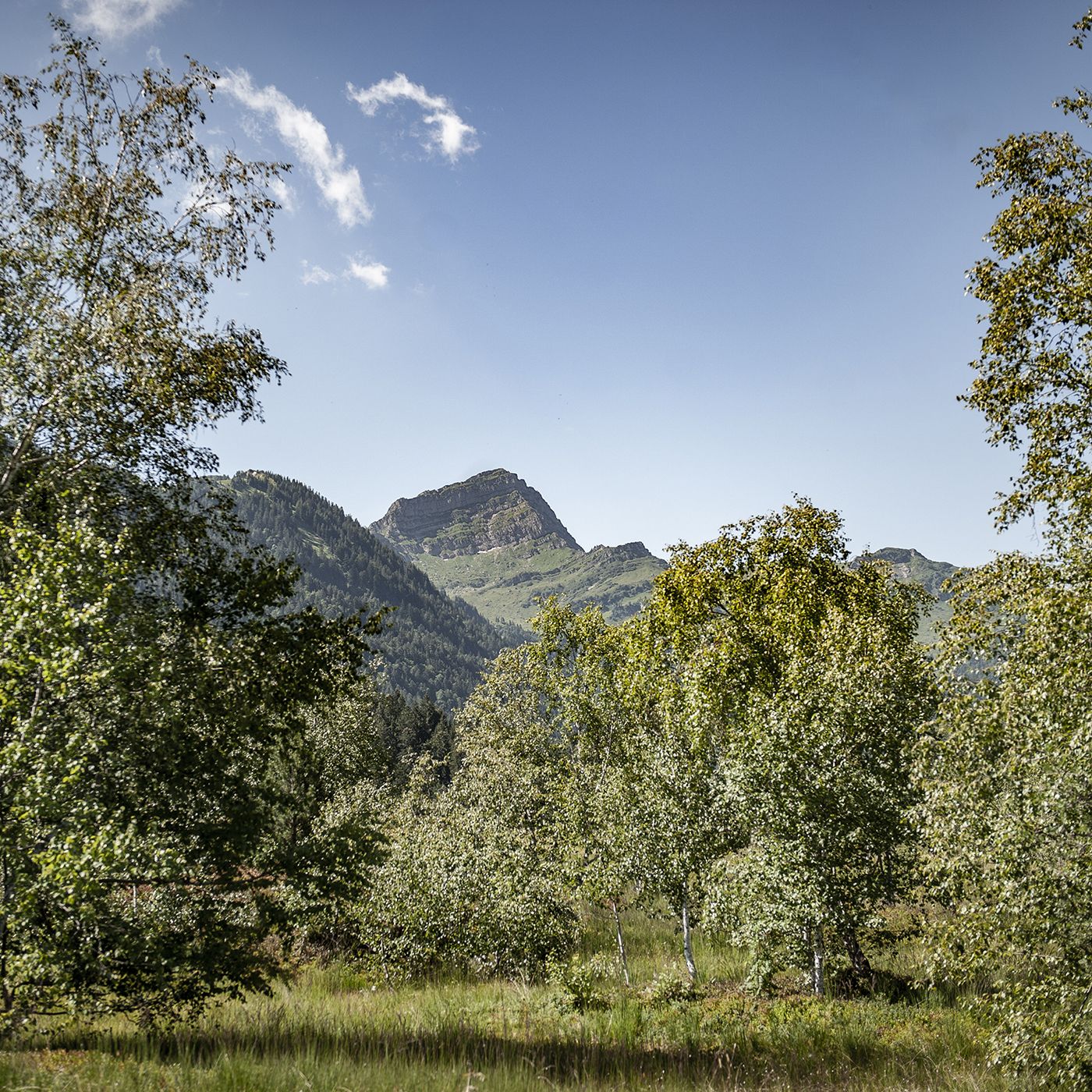 Naturgeschichten Wolzenalp
