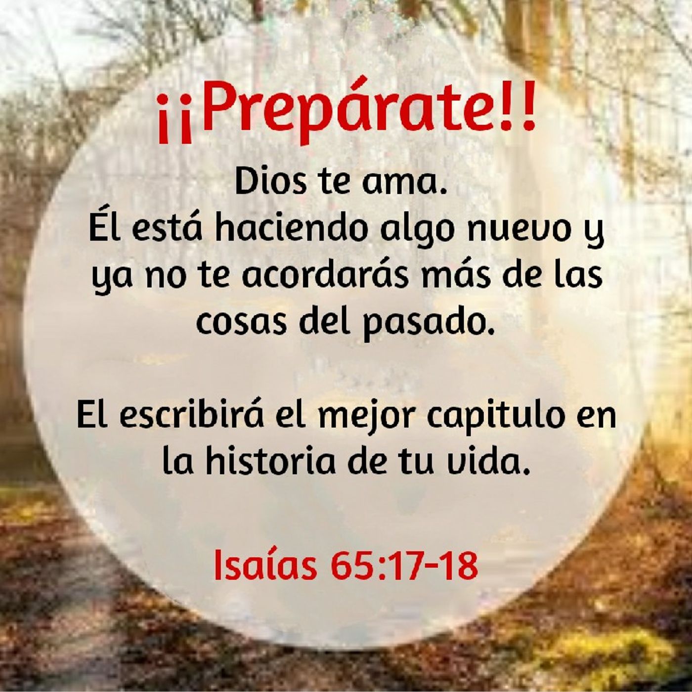 Reflexión Oasis Espiritual.  E. Lizcano