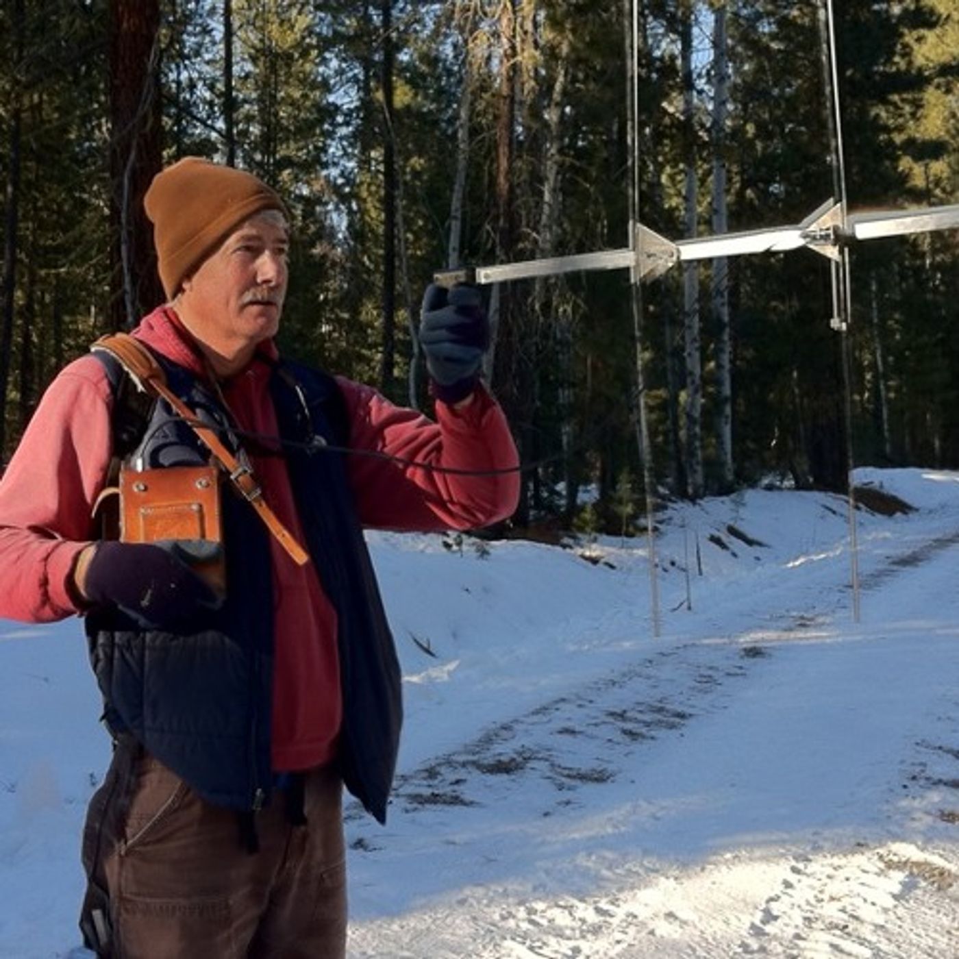 Field Notes: In  Oregon's Cascades, A Lone Wolf episode artwork