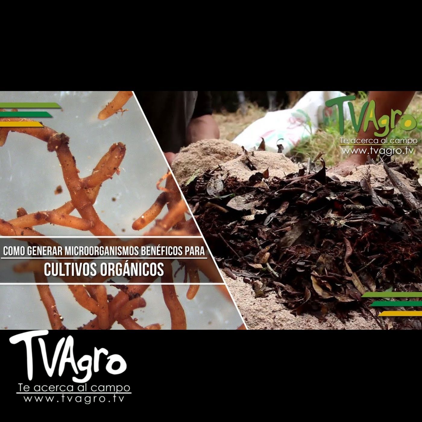 TV AGRO