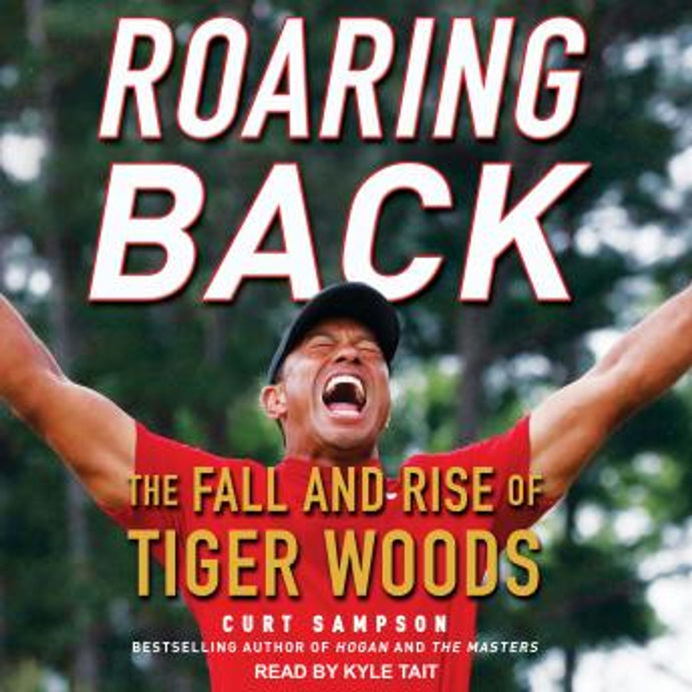 Best Full Audiobooks in Biography & Memoir, Sports