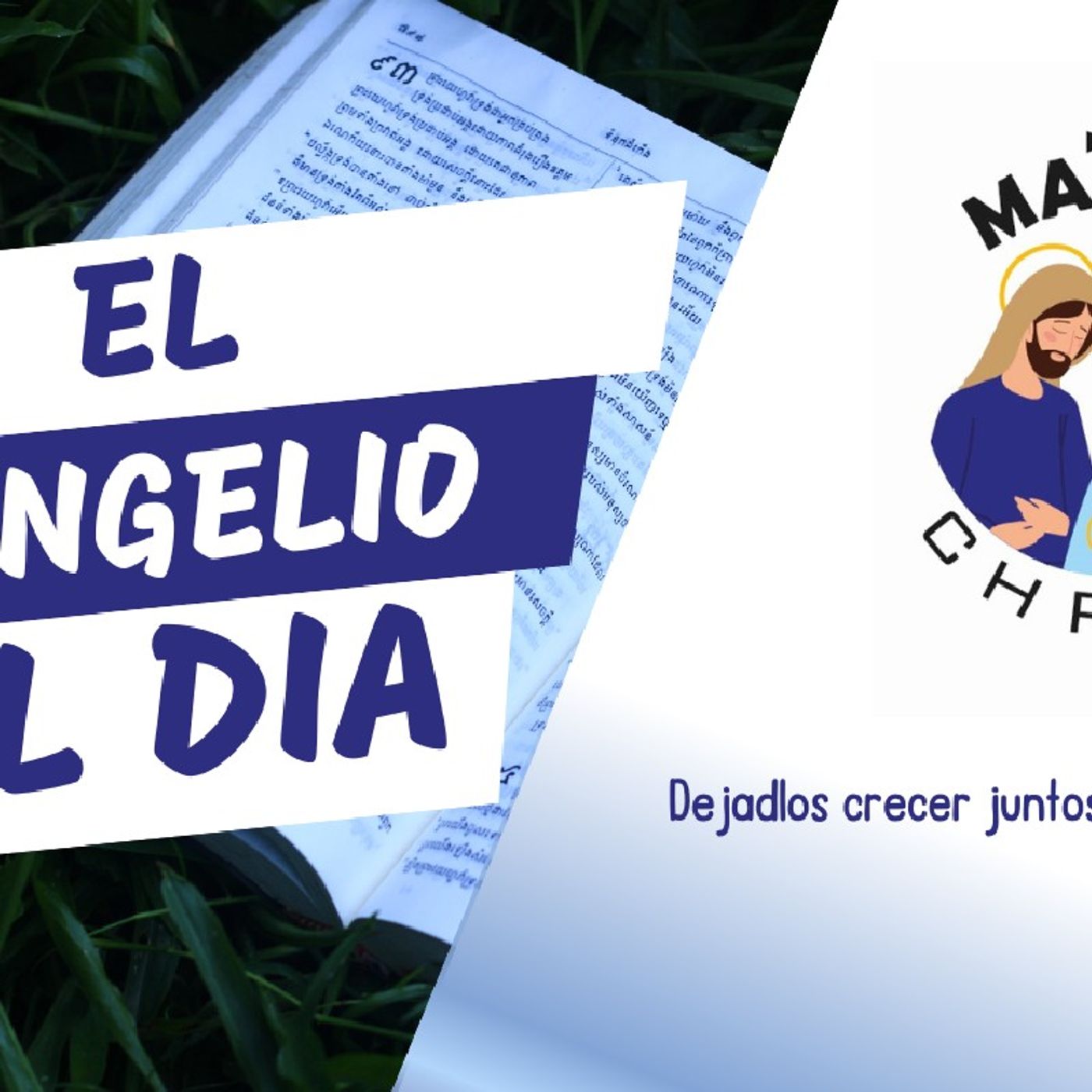 Mt 13, 24-43 • Dejadlos crecer juntos hasta la siega. episode artwork