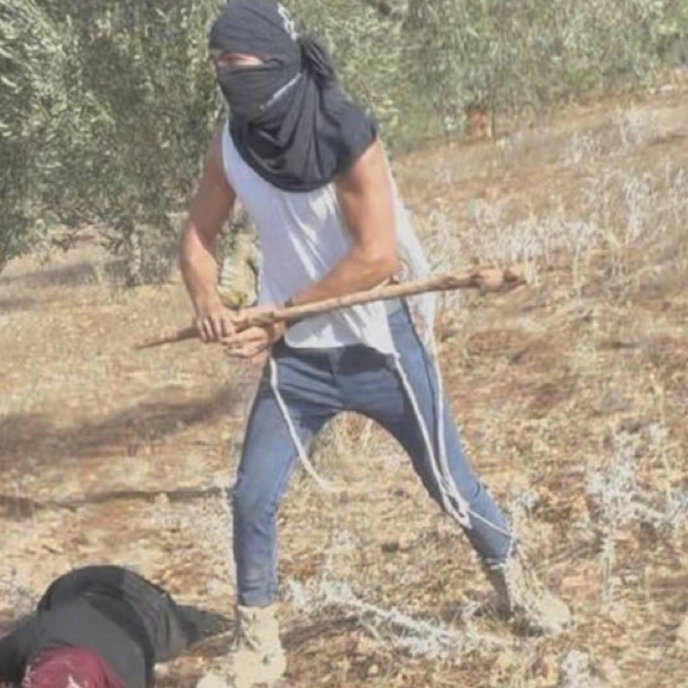 260. Ambushed by Israeli Settlers