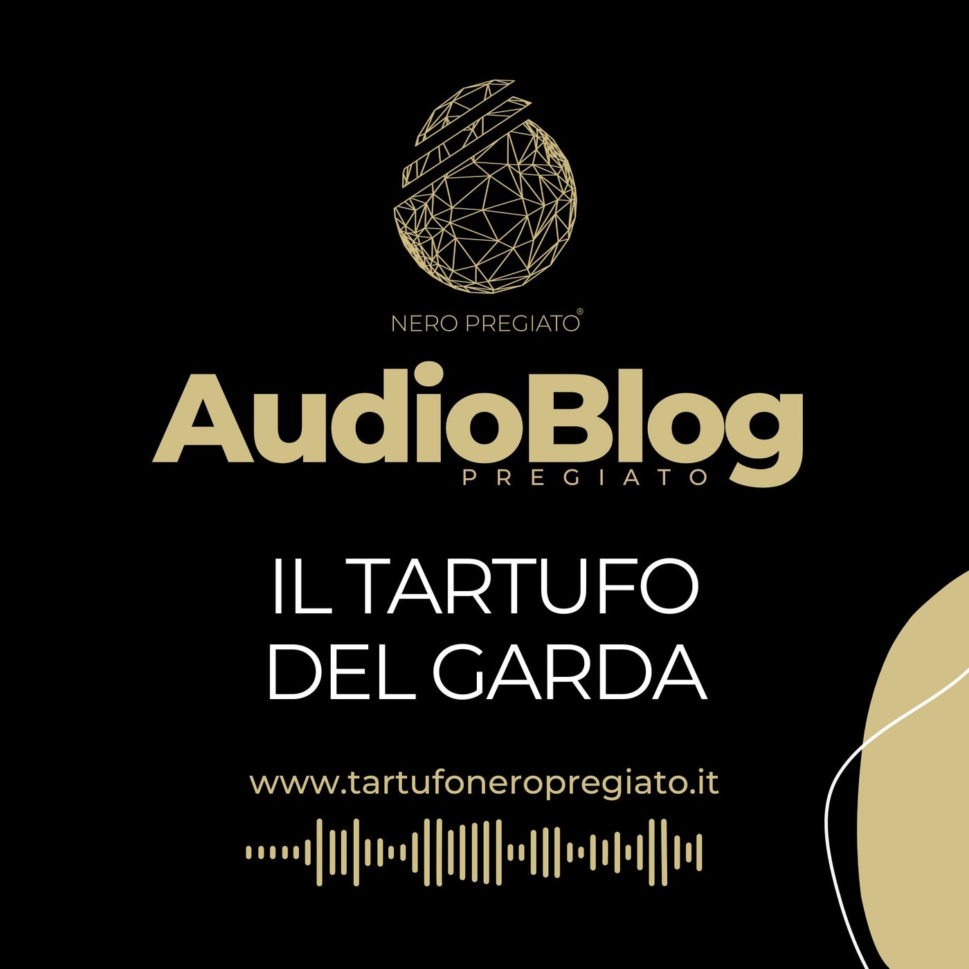 AudioBlog Pregiato