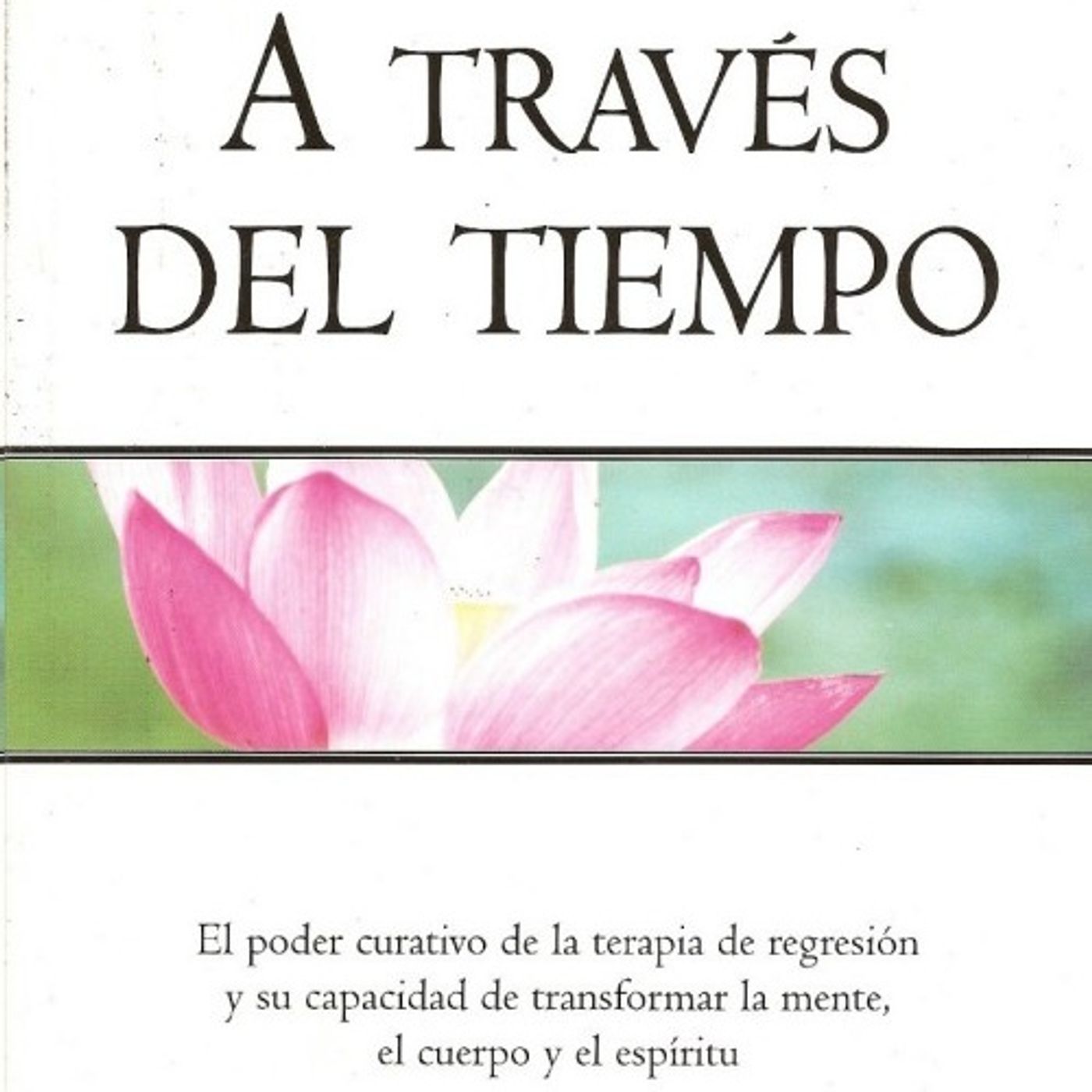 (Resumen) A traves del tiempo - Brian Weiss