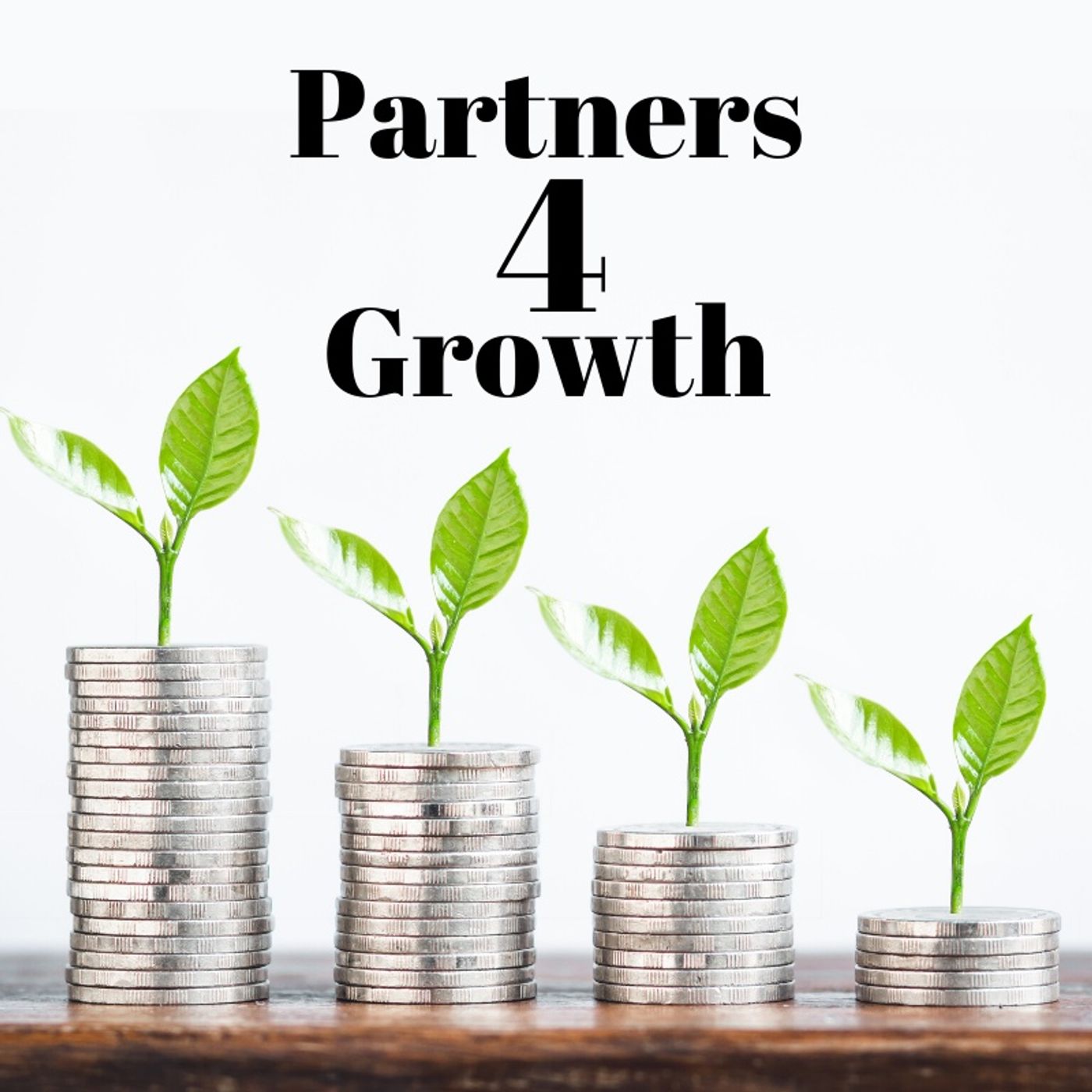Partners4Growth