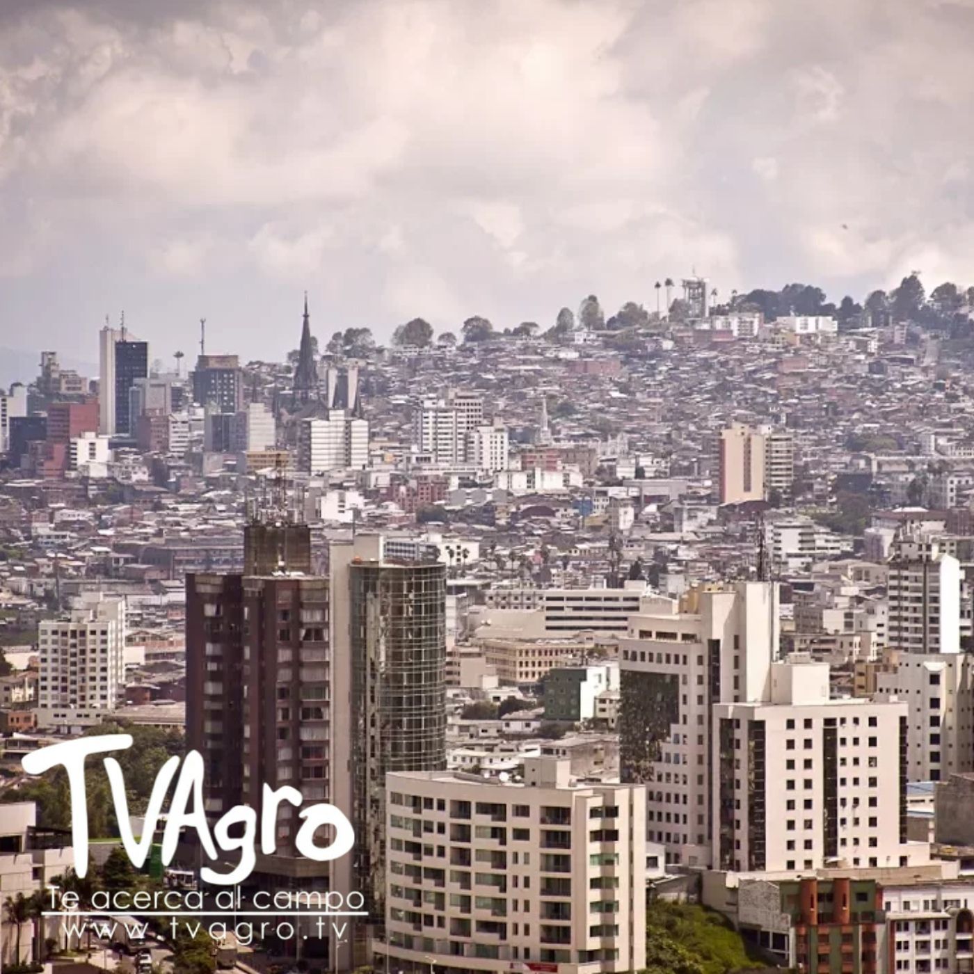 TV AGRO