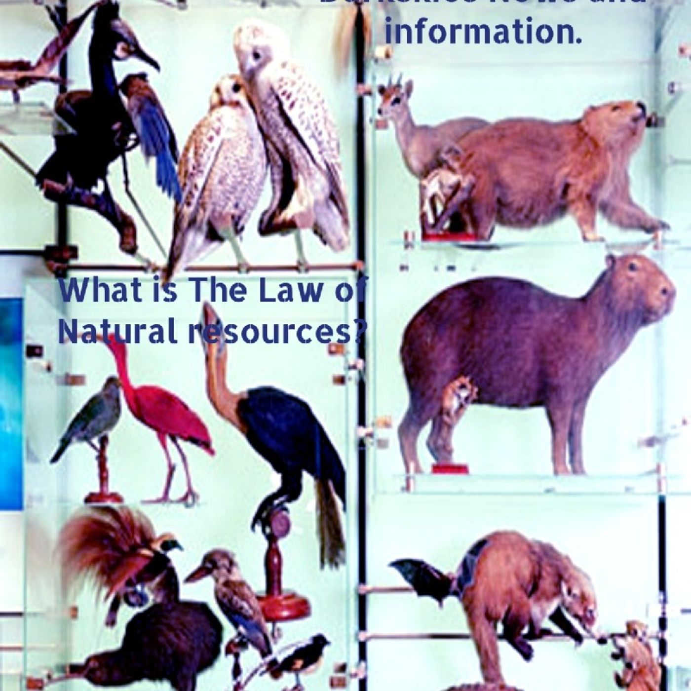 What Is The Law Of Natural Selection? Episode 129 - Dark Skies News And information episode artwork
