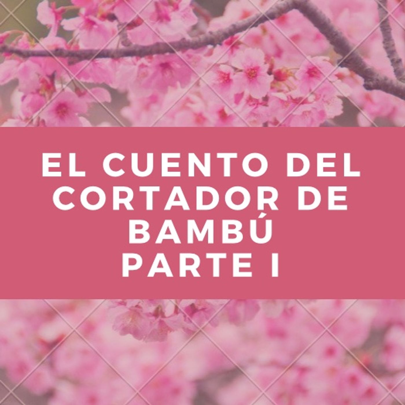 El Cuarto De Atrás