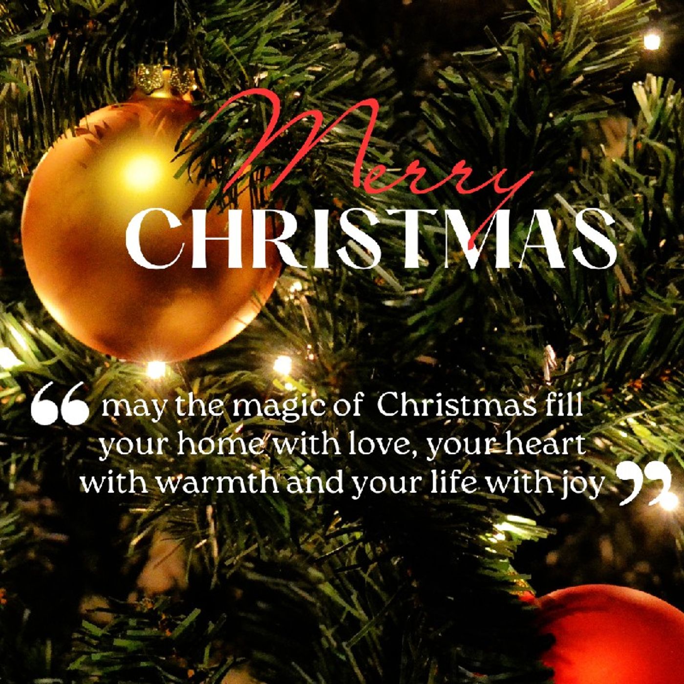 Christmas message to our cherished listeners episode artwork
