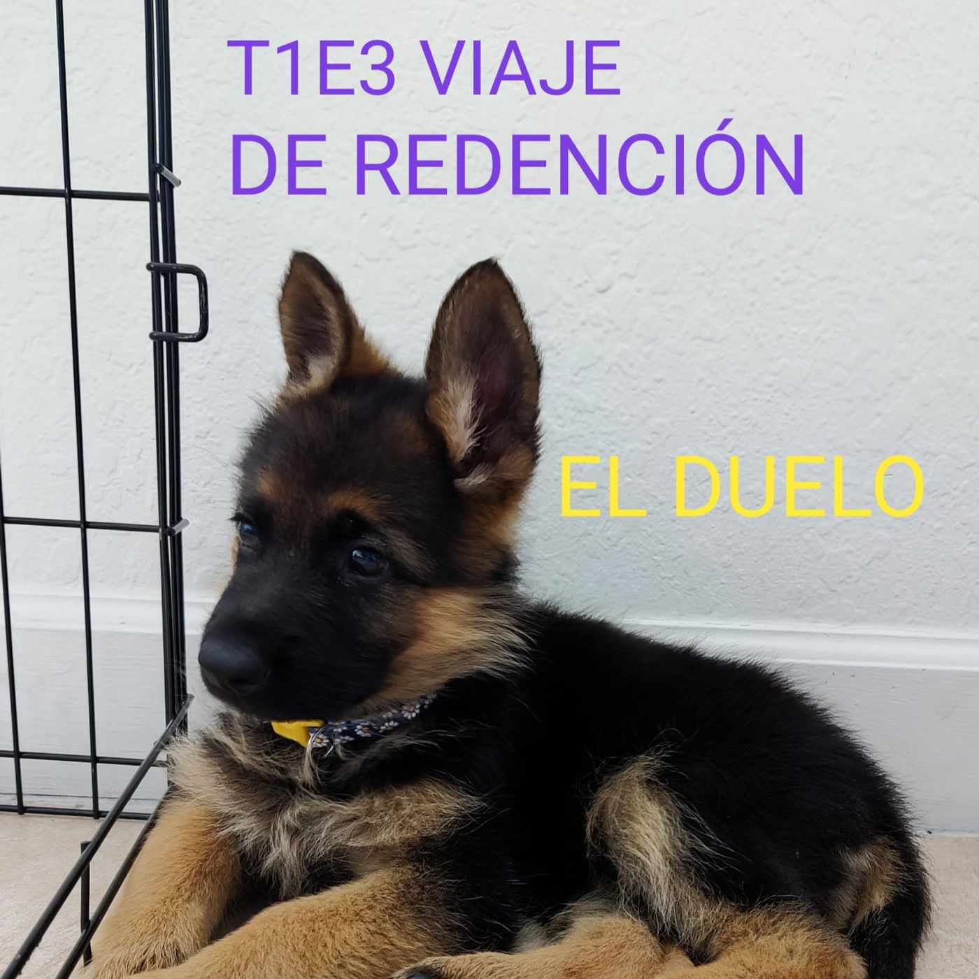 El Transistor Temas al Aire Libre